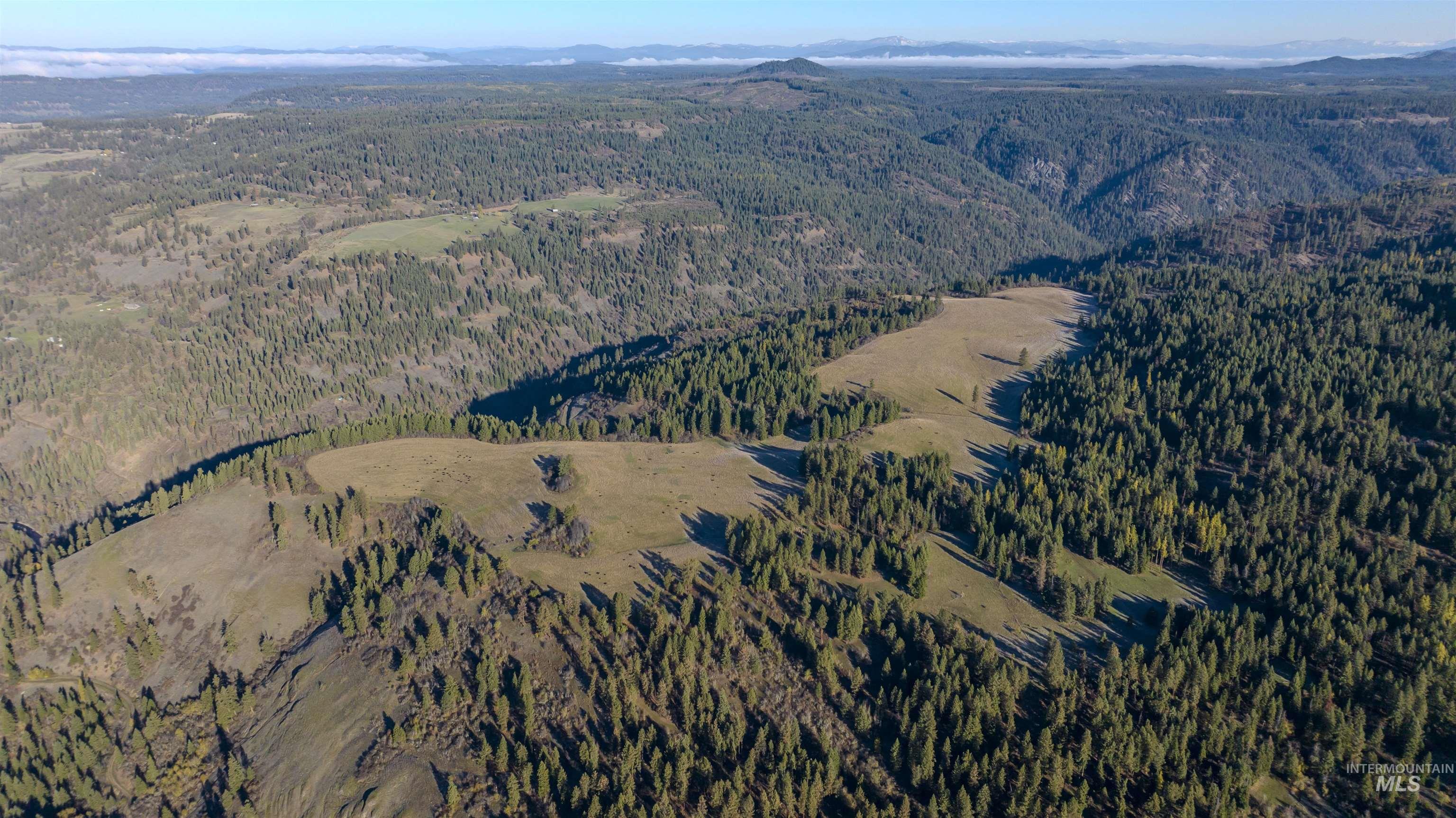 NKA 320acs Summer Rd, Orofino, Idaho 83544, Land For Sale, Price $2,200,000, 98893920