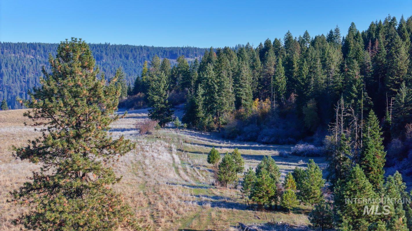 NKA 320acs Summer Rd, Orofino, Idaho 83544, Land For Sale, Price $2,200,000, 98893920