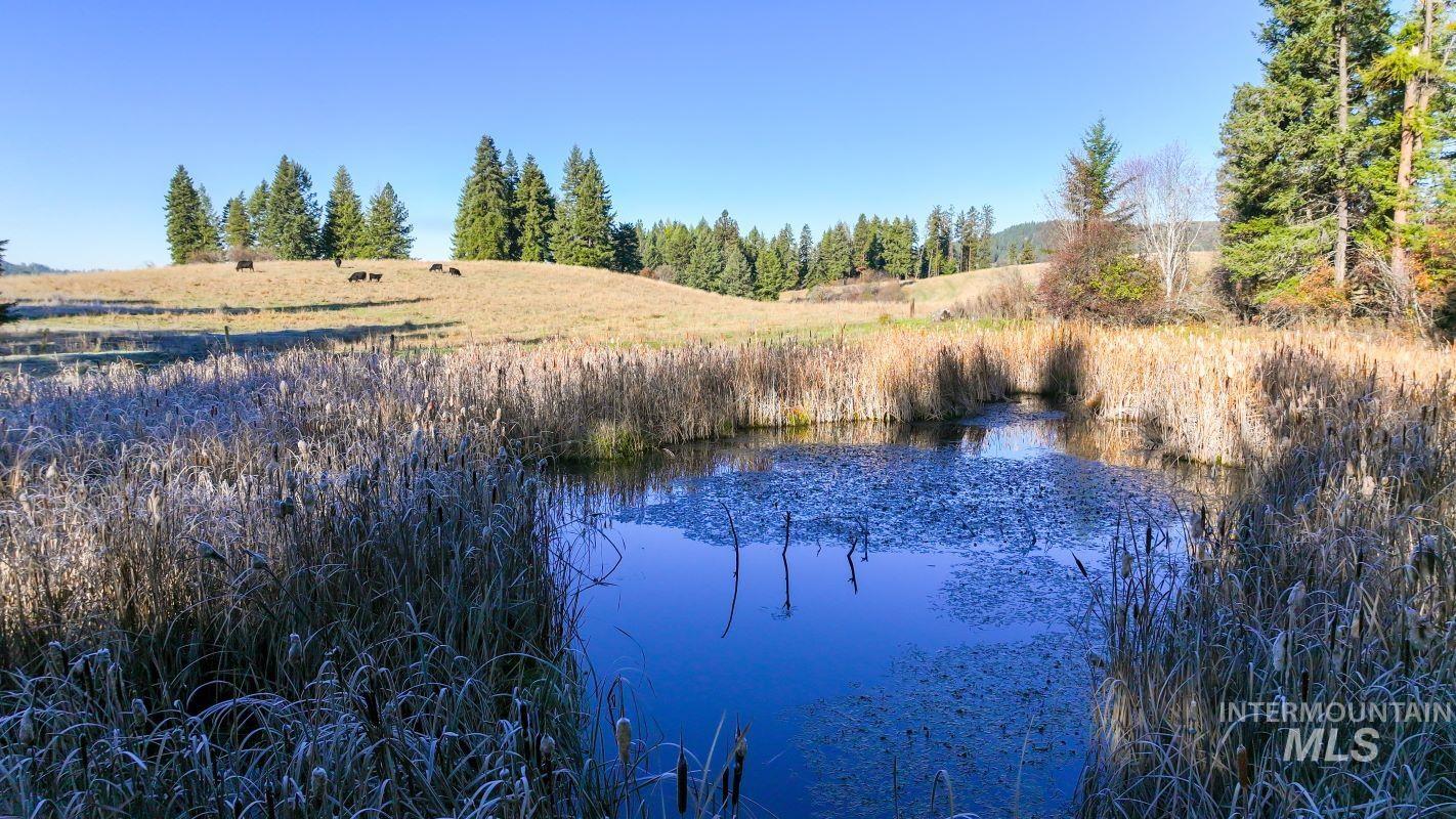 NKA 320acs Summer Rd, Orofino, Idaho 83544, Land For Sale, Price $2,200,000, 98893920