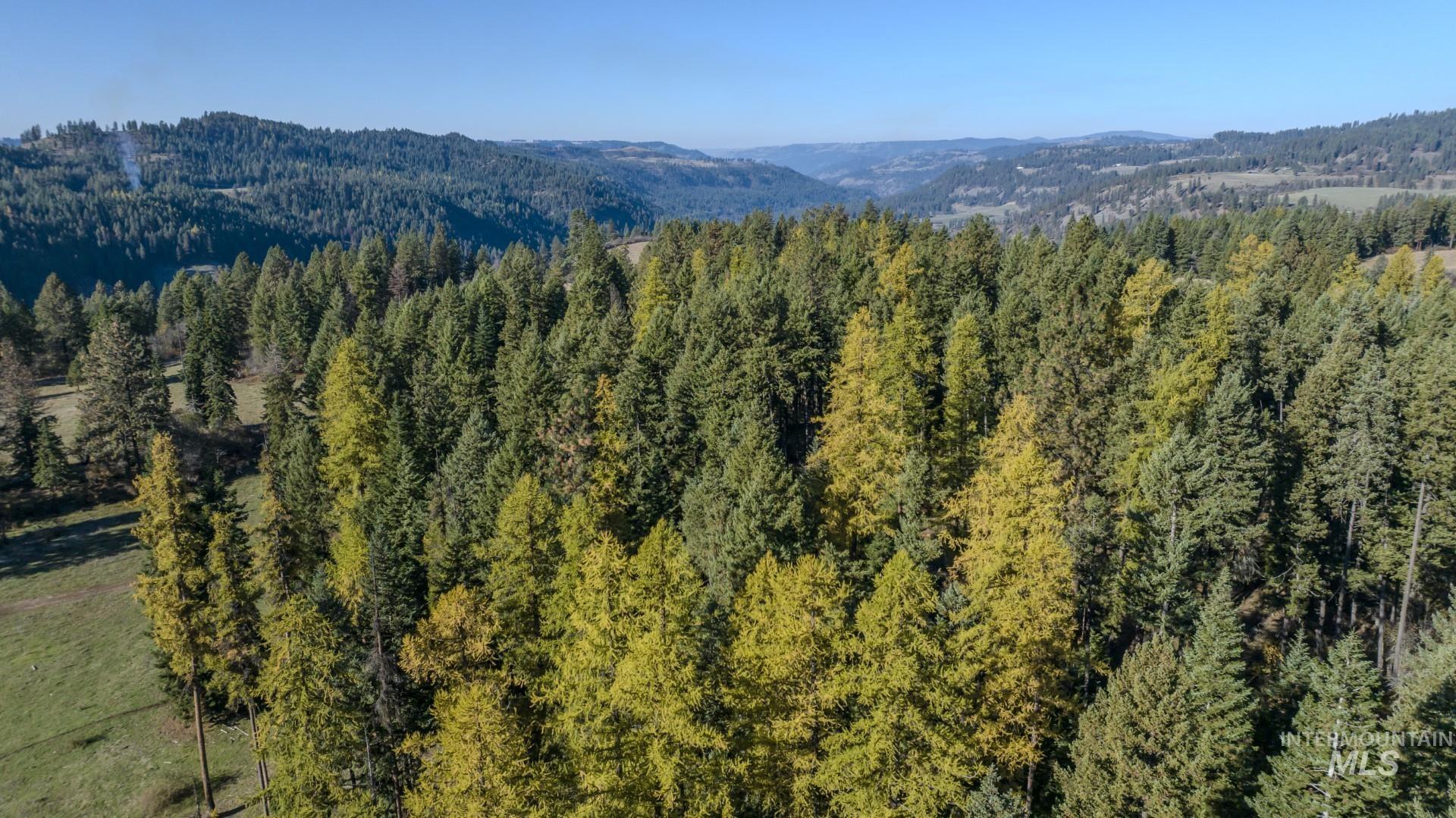 NKA 320acs Summer Rd, Orofino, Idaho 83544, Land For Sale, Price $2,200,000, 98893920