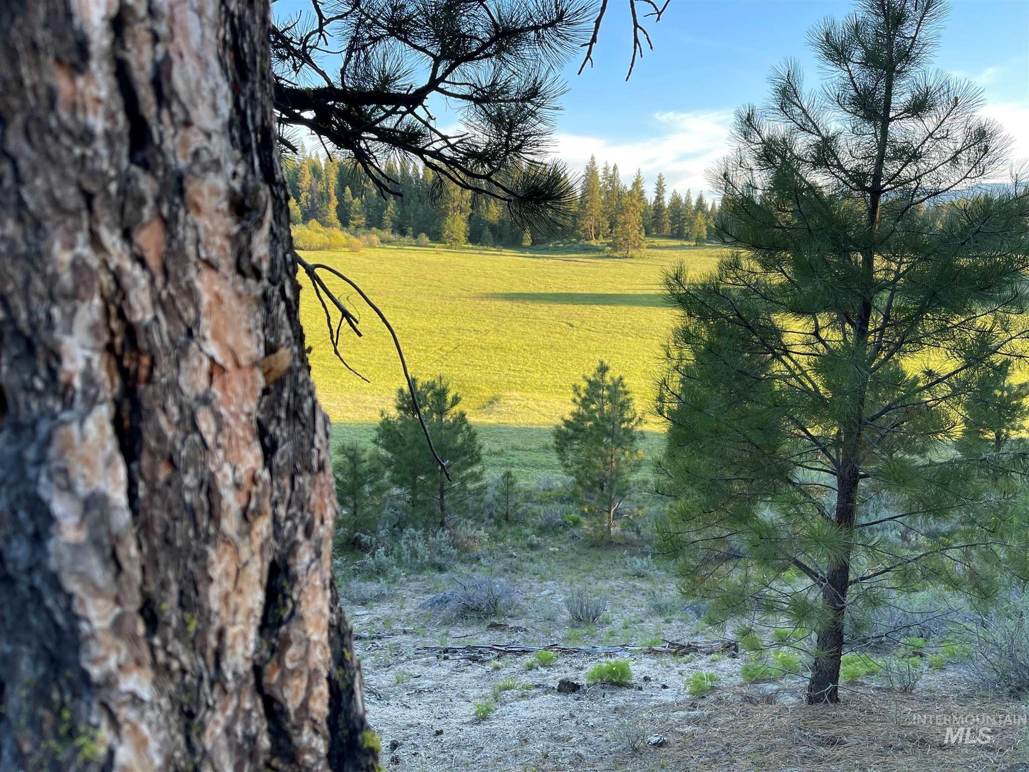 ±320 acres - Big Creek Meadows Ranch, Cascade, Idaho 83611, Farm & Ranch For Sale, Price $3,840,000, 98894242
