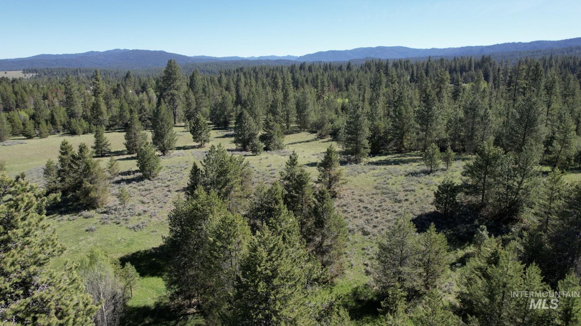 ±320 acres - Big Creek Meadows Ranch, Cascade, Idaho 83611, Farm & Ranch For Sale, Price $3,840,000, 98894242