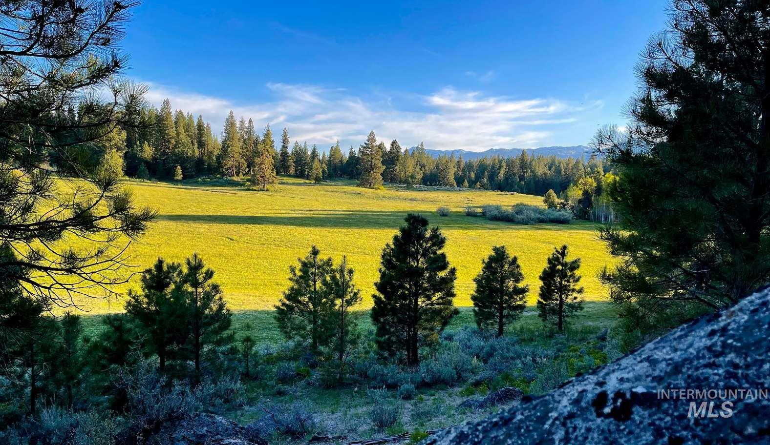 ±1812 acres Big Creek, Cascade, Idaho 83611, Farm & Ranch For Sale, Price $9,995,000, 98894243