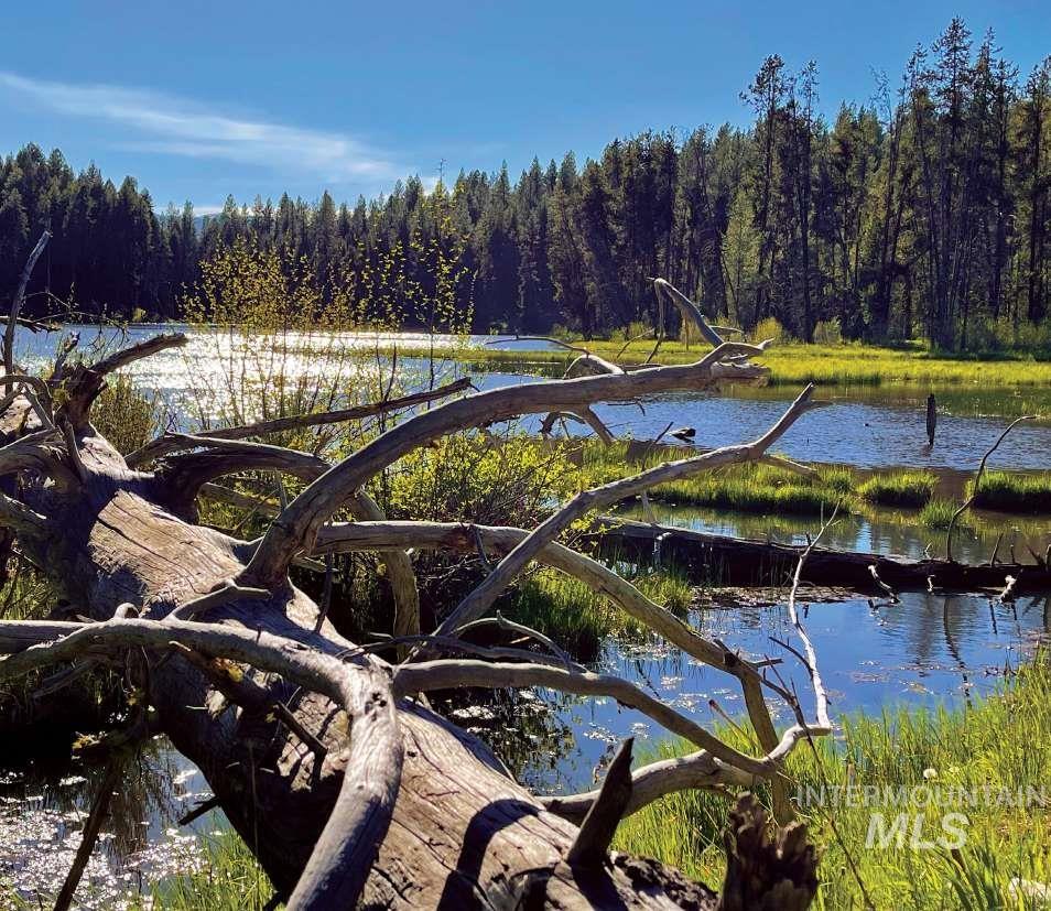 ±1812 acres Big Creek, Cascade, Idaho 83611, Farm & Ranch For Sale, Price $9,995,000, 98894243