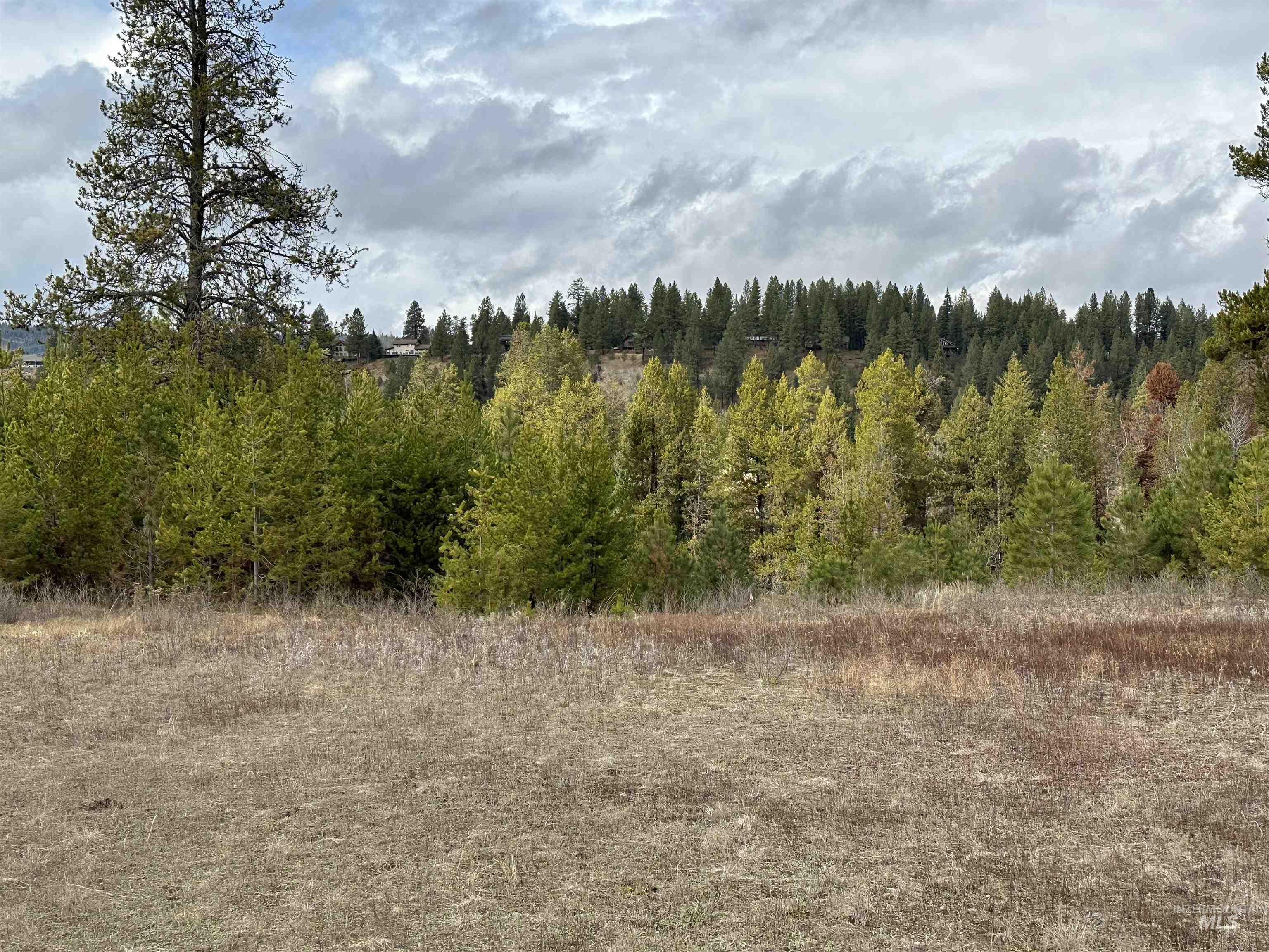 180 River Ranch Road, McCall, Idaho 83638, Land For Sale, Price $399,000,MLS 98894369