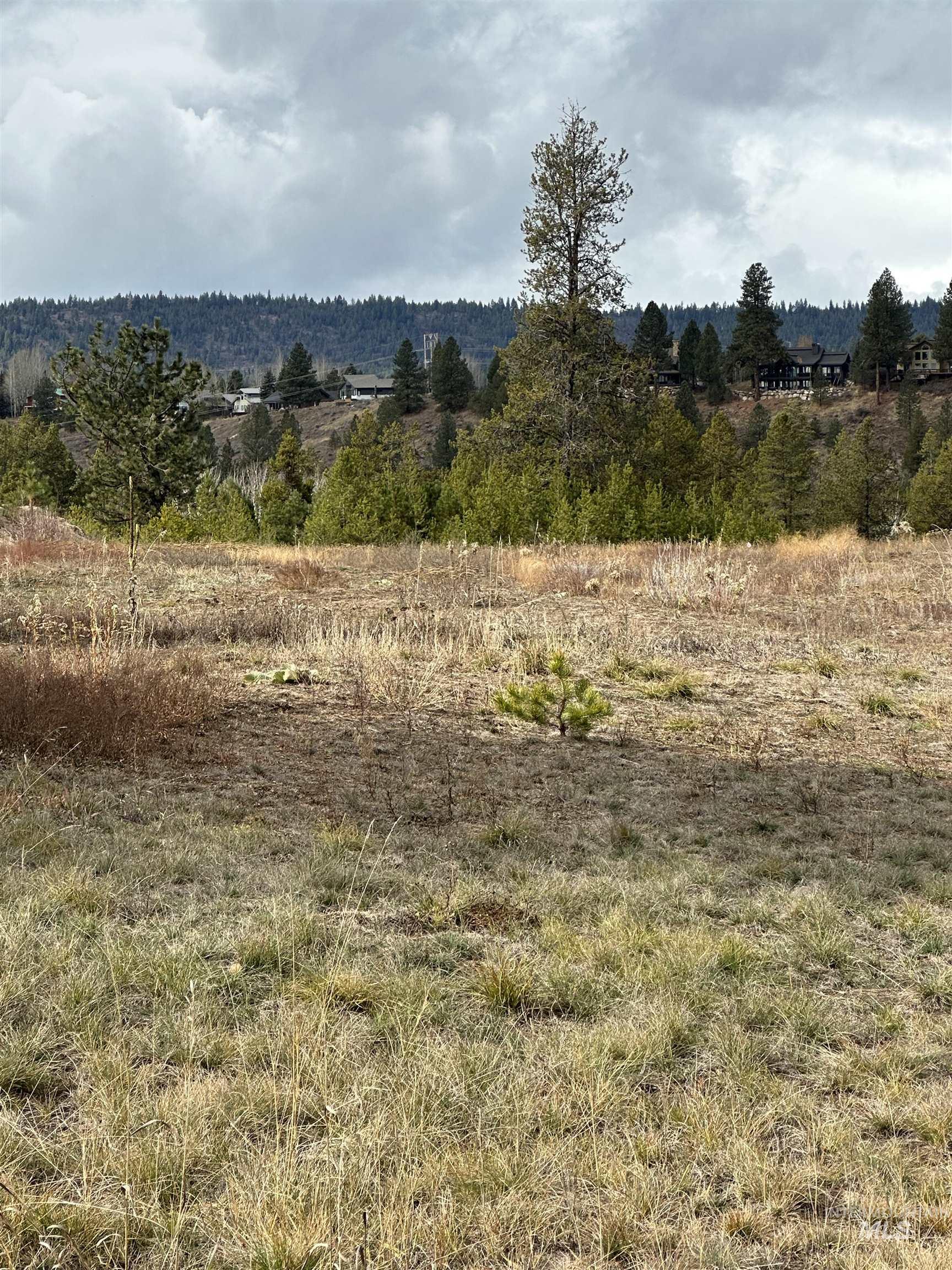 180 River Ranch Road, McCall, Idaho 83638, Land For Sale, Price $399,000,MLS 98894369