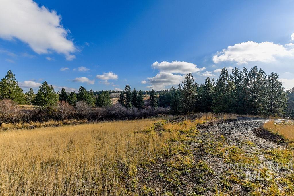 5304 Robinson Park Road, Moscow, Idaho 83843, Land For Sale, Price $539,000,MLS 98894555