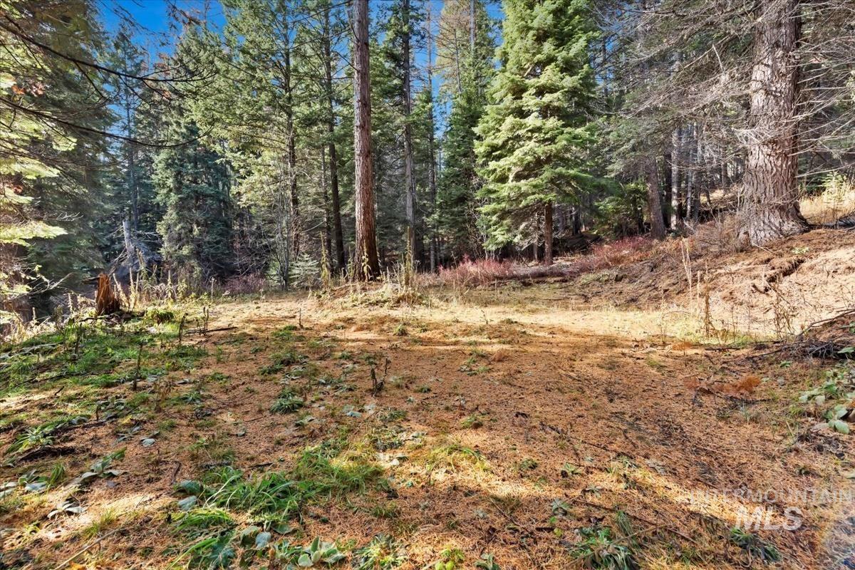 1715 Grouse Trail, Donnelly, Idaho 83615, Land For Sale, Price $240,000,MLS 98894575
