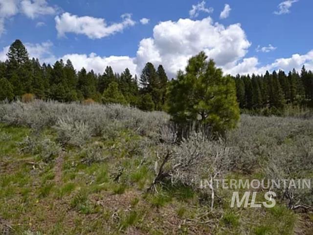 49 Hondo Lane, Donnelly, Idaho 83615, Land For Sale, Price $238,000,MLS 98894595