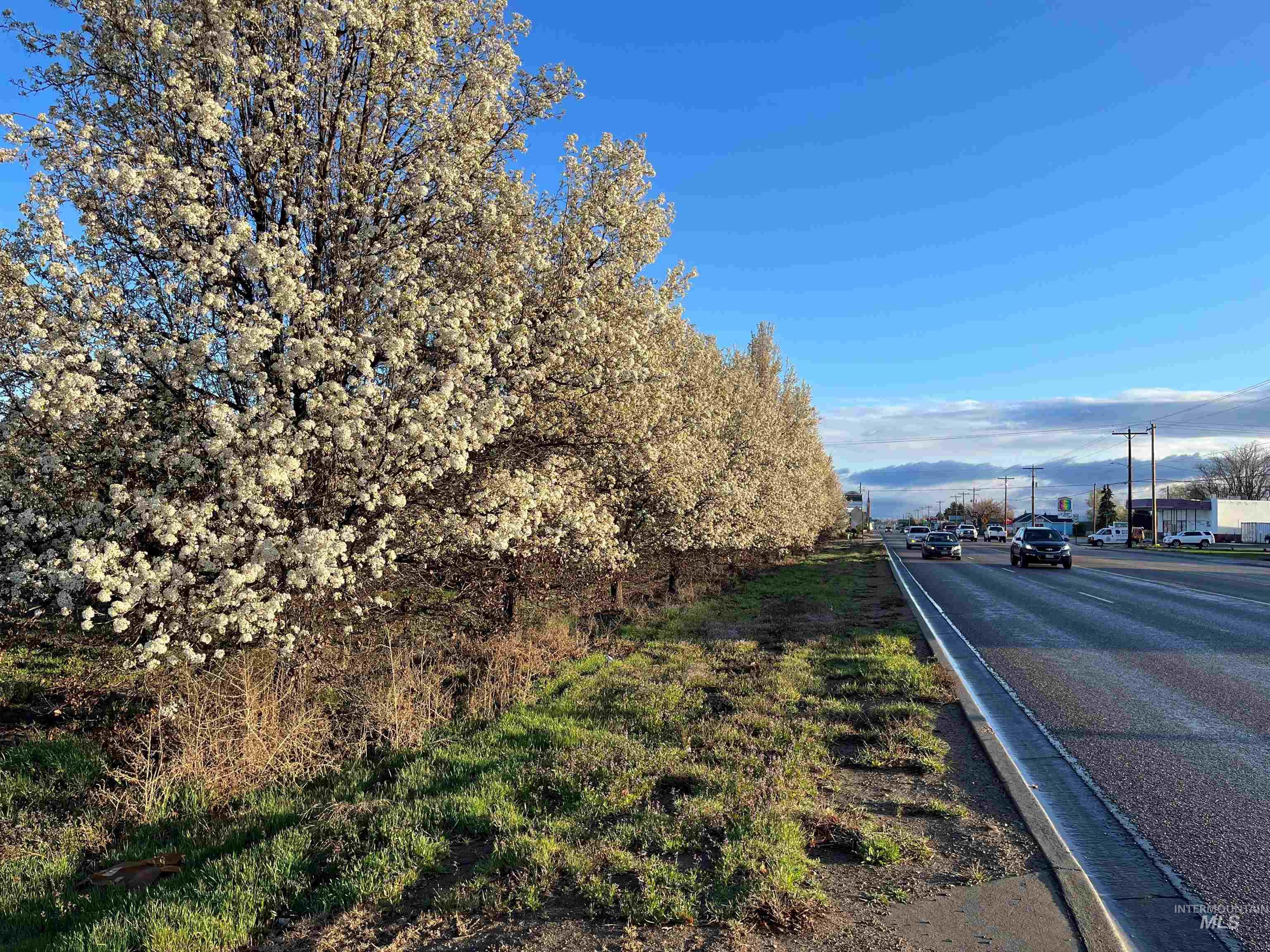 301 & TBD S Whitley Dr, Fruitland, Idaho 83619, Land For Sale, Price $6,280,000, 98895014