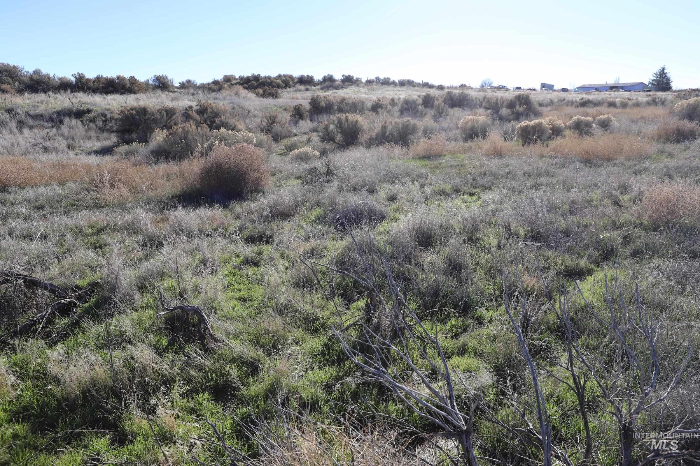 TBD 1200 East, Bliss, Idaho 83314, Land For Sale, Price $150,000, 98895312