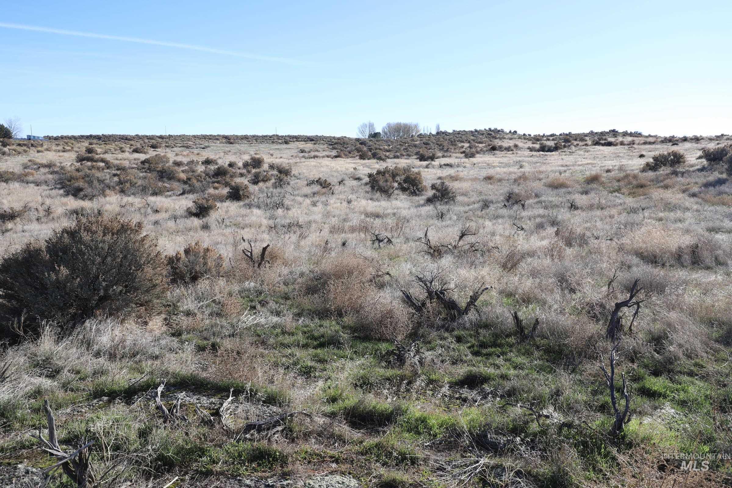 TBD 1200 East, Bliss, Idaho 83314, Land For Sale, Price $150,000, 98895312