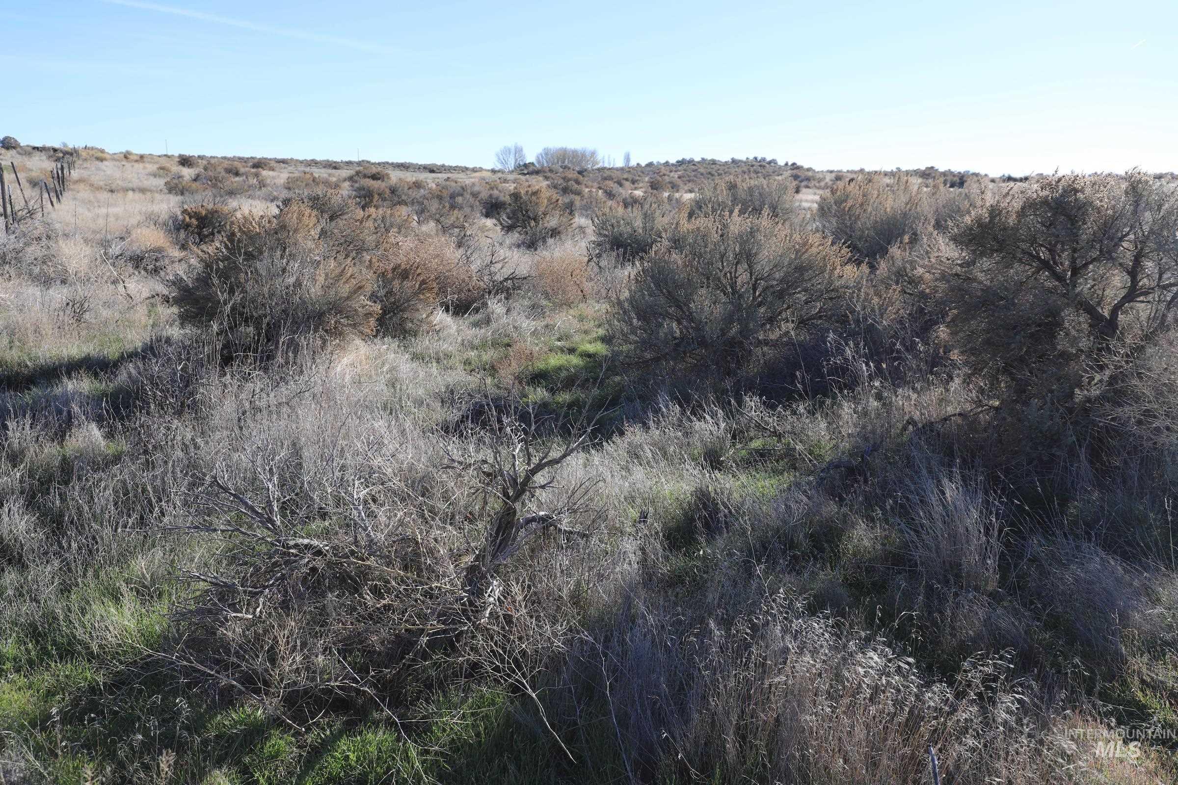 TBD 1200 East, Bliss, Idaho 83314, Land For Sale, Price $150,000, 98895312