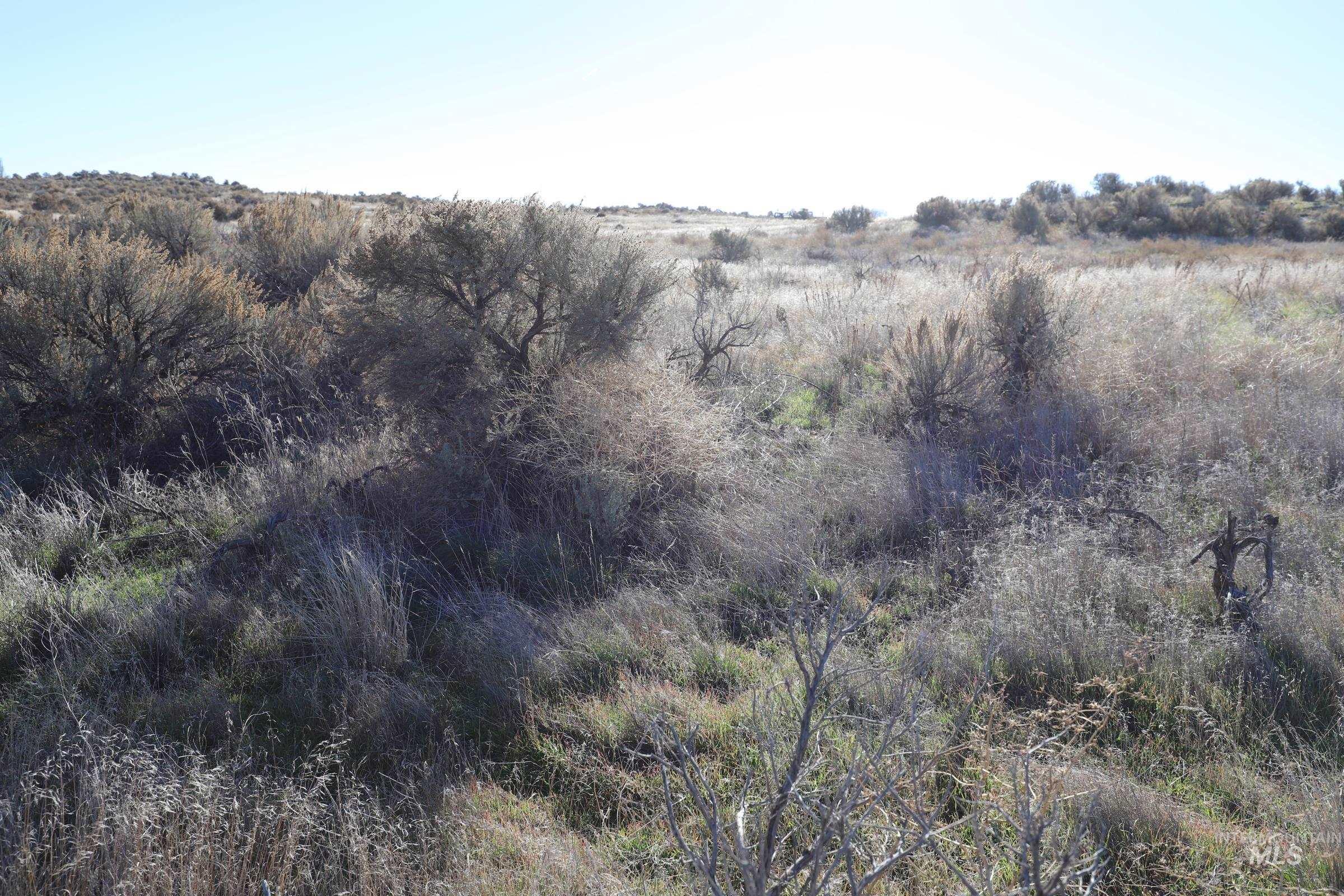 TBD 1200 East, Bliss, Idaho 83314, Land For Sale, Price $150,000, 98895312