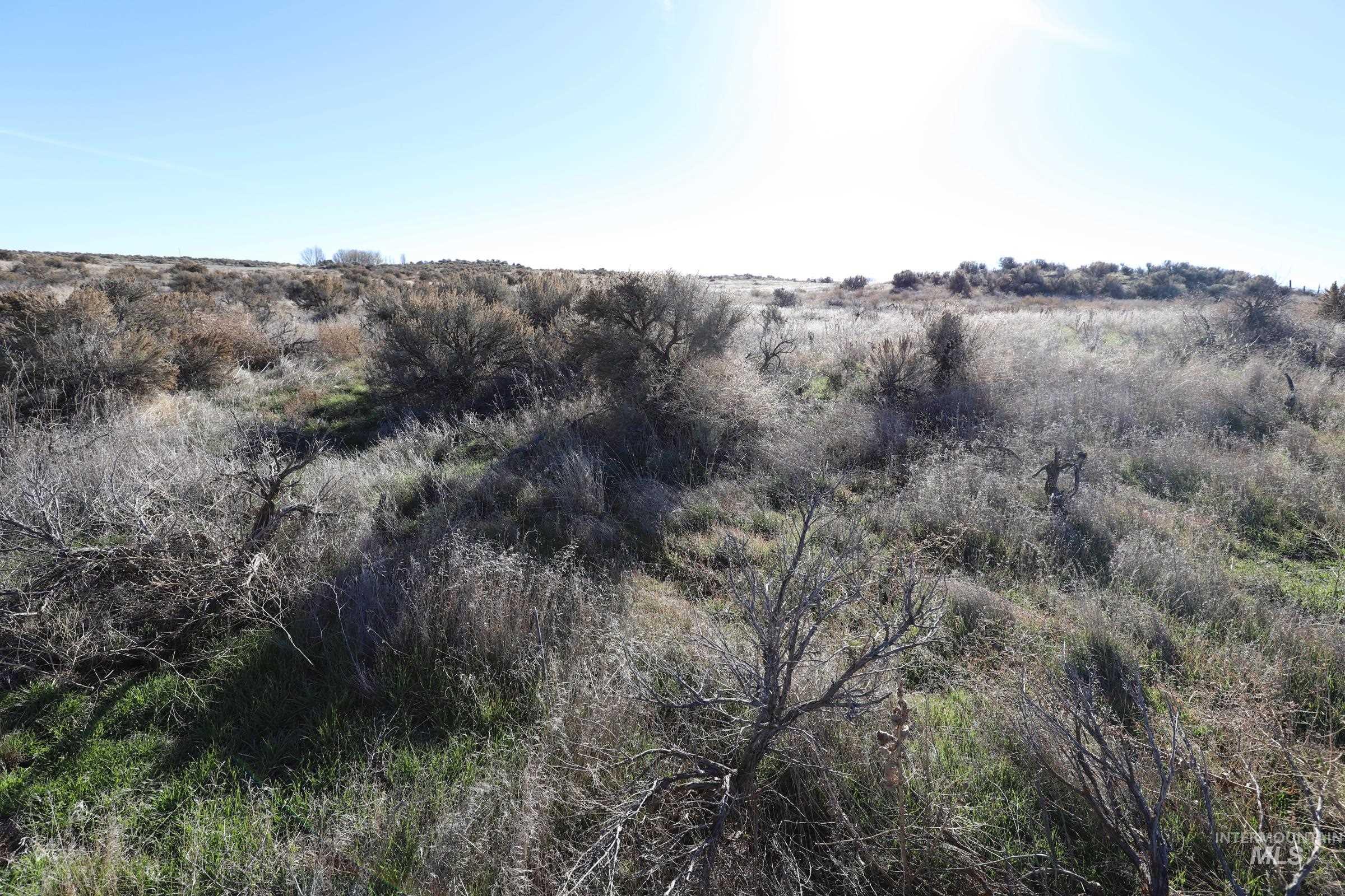 TBD 1200 East, Bliss, Idaho 83314, Land For Sale, Price $150,000, 98895312