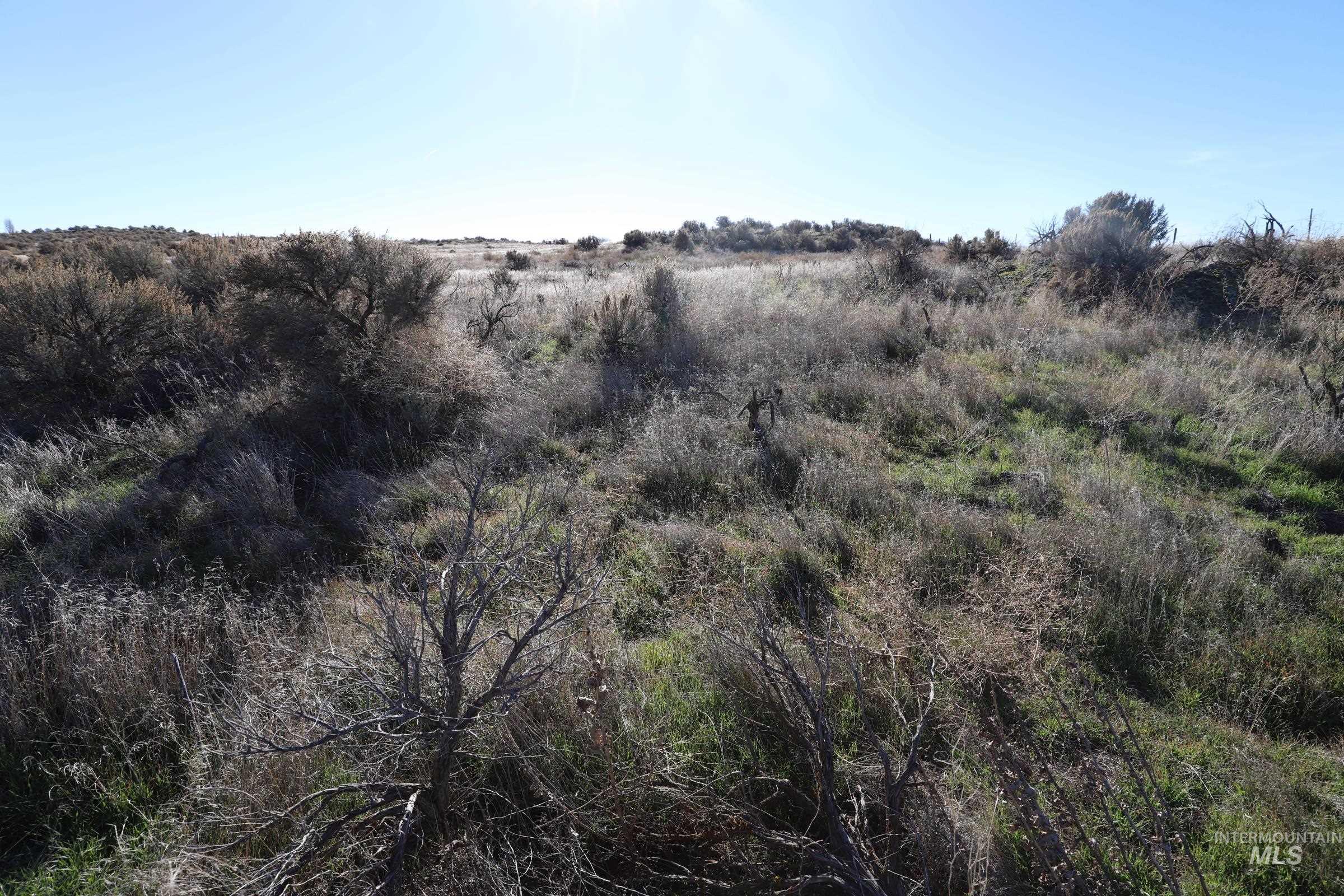 TBD 1200 East, Bliss, Idaho 83314, Land For Sale, Price $150,000, 98895312