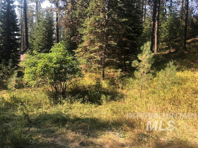 TBD Yampa Ct, New Meadows, Idaho 83654, Land For Sale, Price $85,000,MLS 98896525