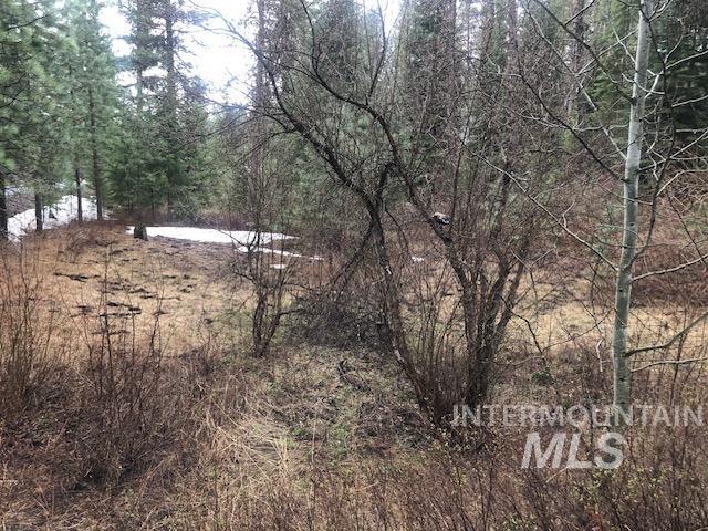 TBD Yampa Ct, New Meadows, Idaho 83654, Land For Sale, Price $85,000,MLS 98896525