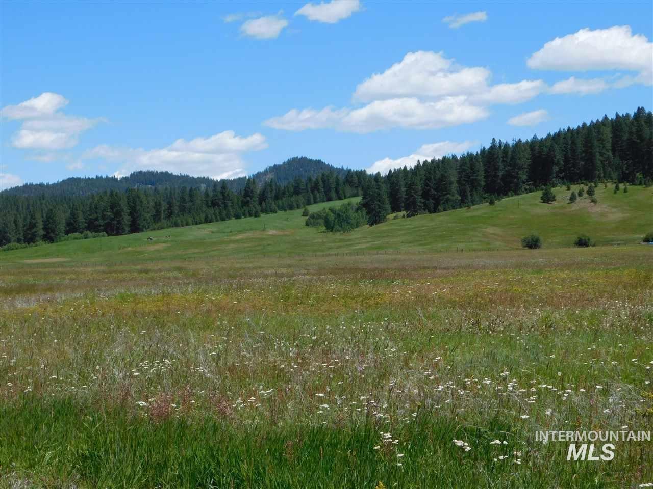 15 Ringo Lane, Donnelly, Idaho 83615, Land For Sale, Price $450,000,MLS 98897206