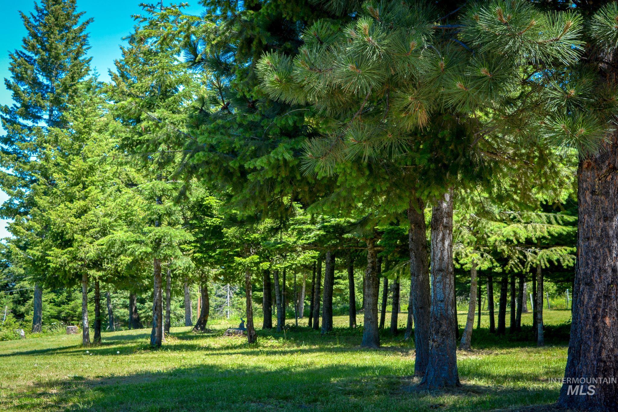 21506 Buckboard Lane, Lewiston, Idaho 83501, 3 Bedrooms, 3 Bathrooms, Residential For Sale, Price $999,977, 98897877