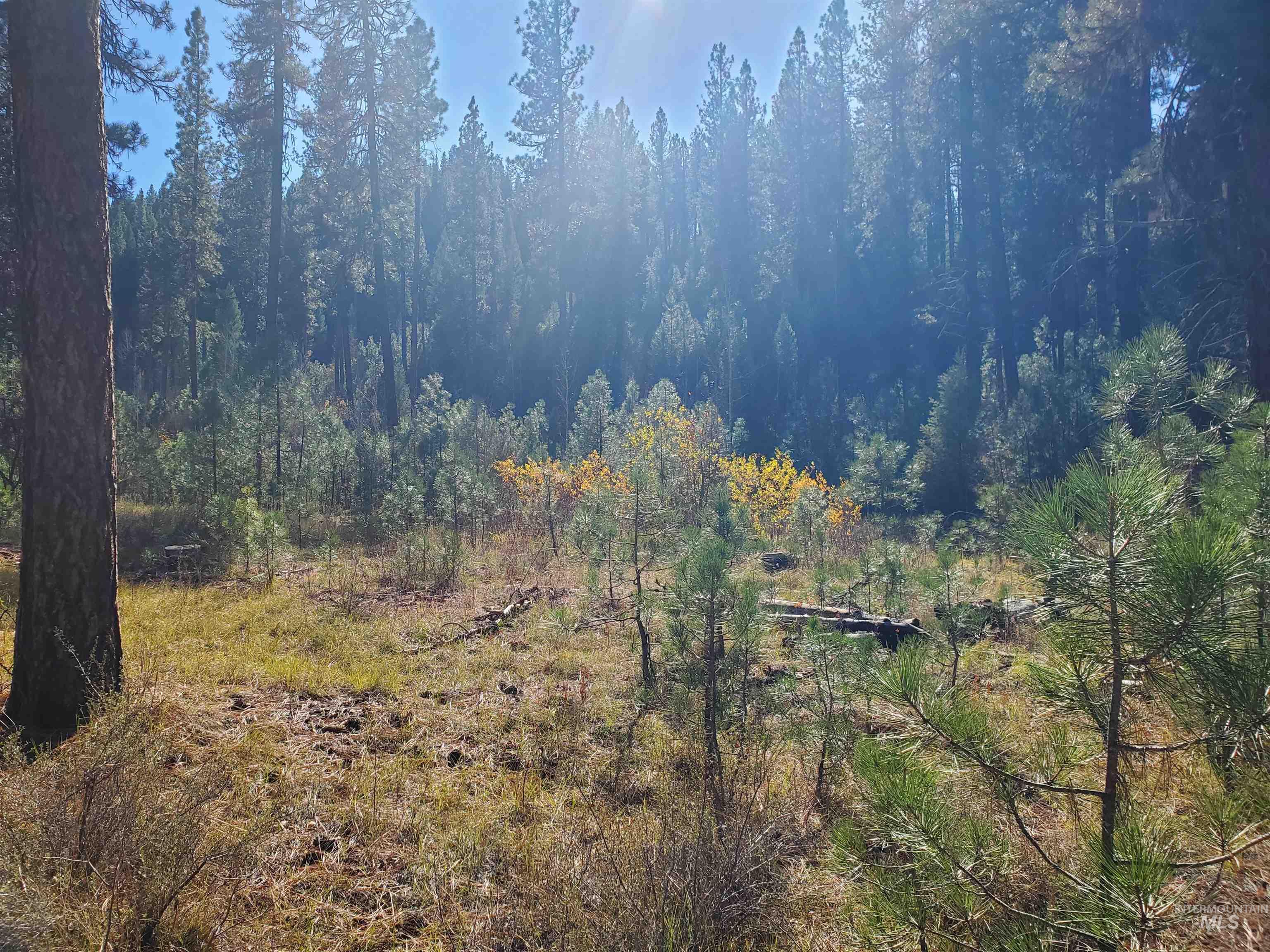 TBD Shaw Gulch Road, Lot 12, Idaho City, Idaho 83631, Land For Sale, Price $165,000,MLS 98898338