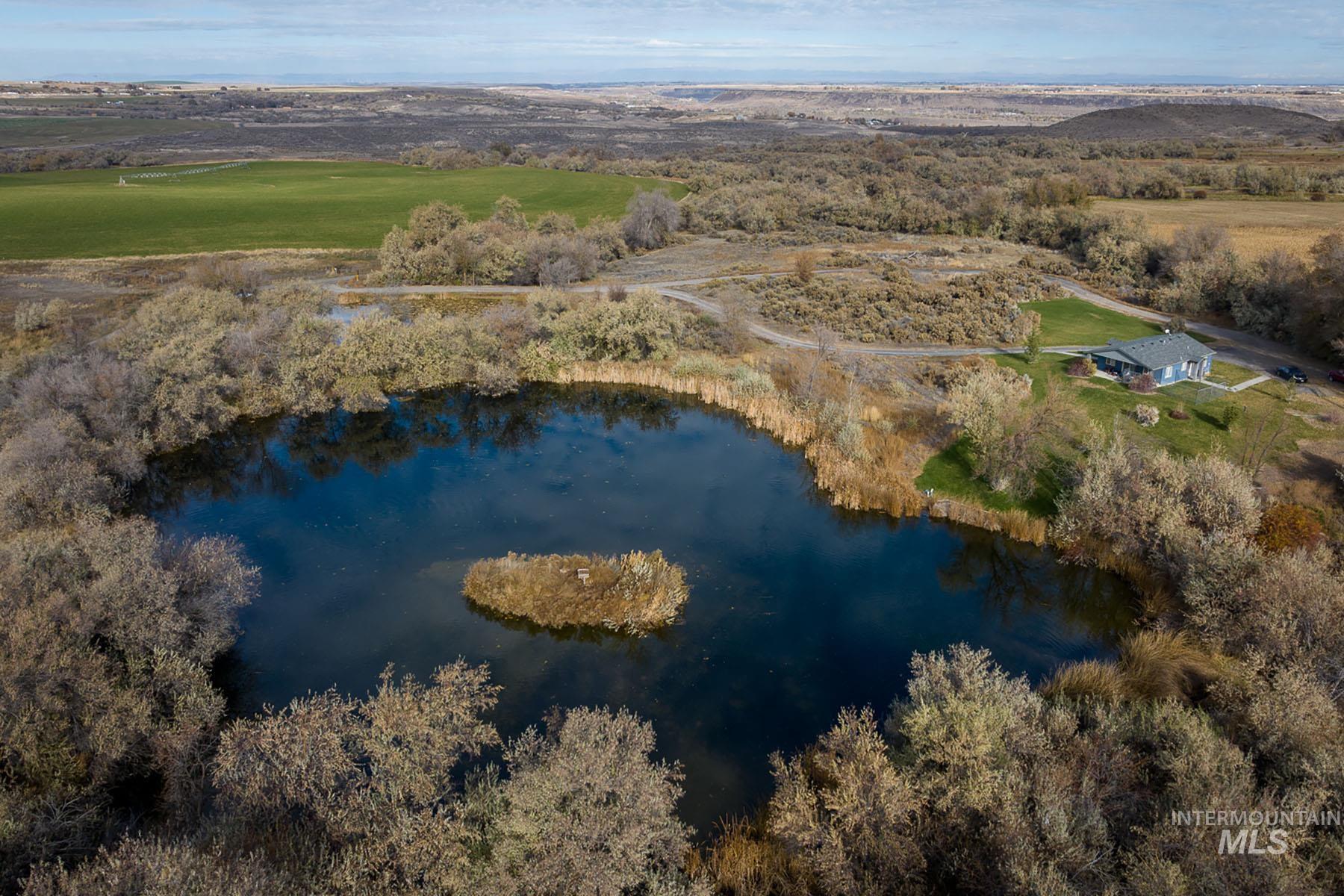 1115 E 4400 N, Buhl, Idaho 83316, 8 Bedrooms, 7.5 Bathrooms, Farm & Ranch For Sale, Price $12,800,000,MLS 98898477