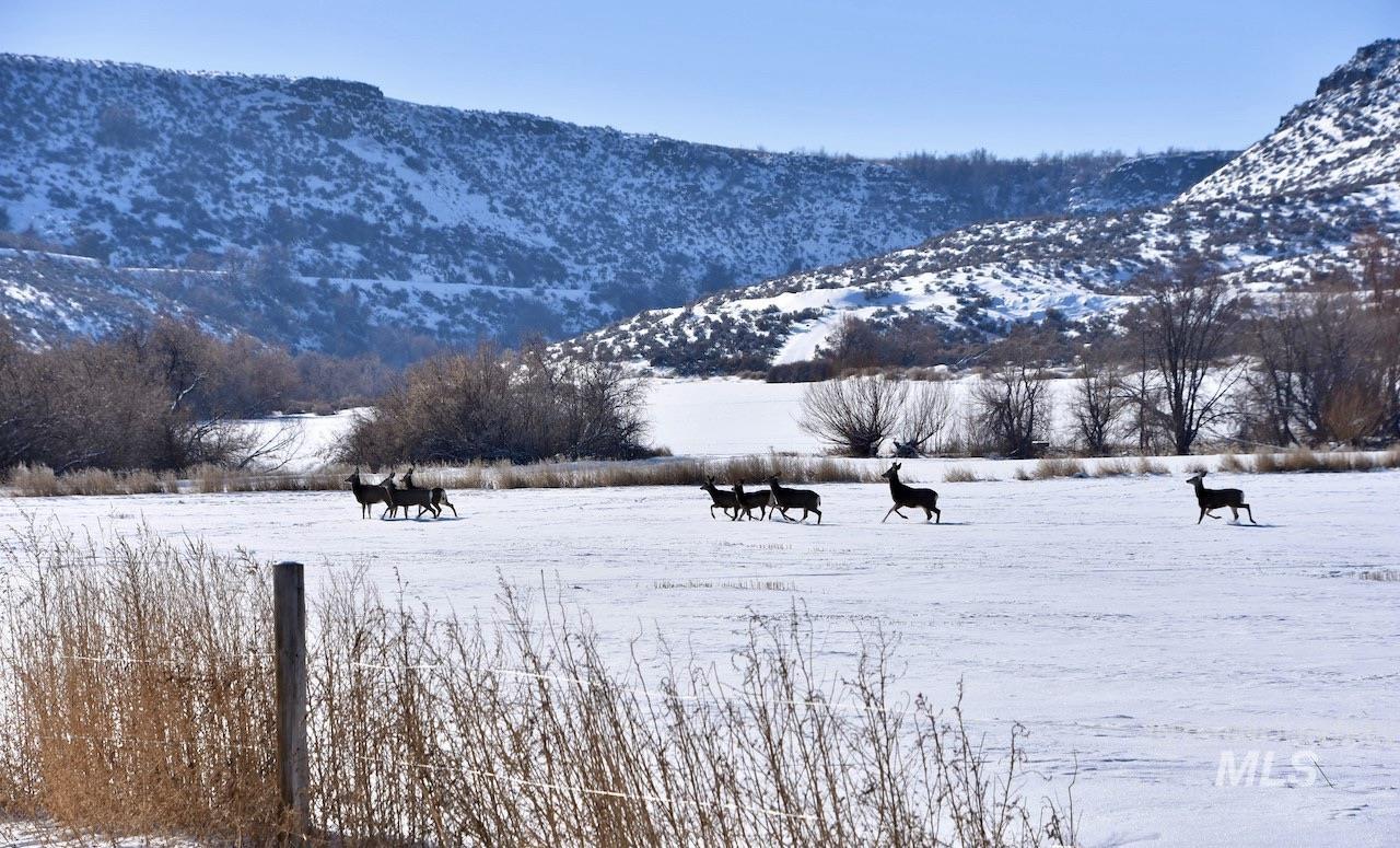 1115 E 4400 N, Buhl, Idaho 83316, 8 Bedrooms, 7.5 Bathrooms, Farm & Ranch For Sale, Price $12,800,000, 98898477