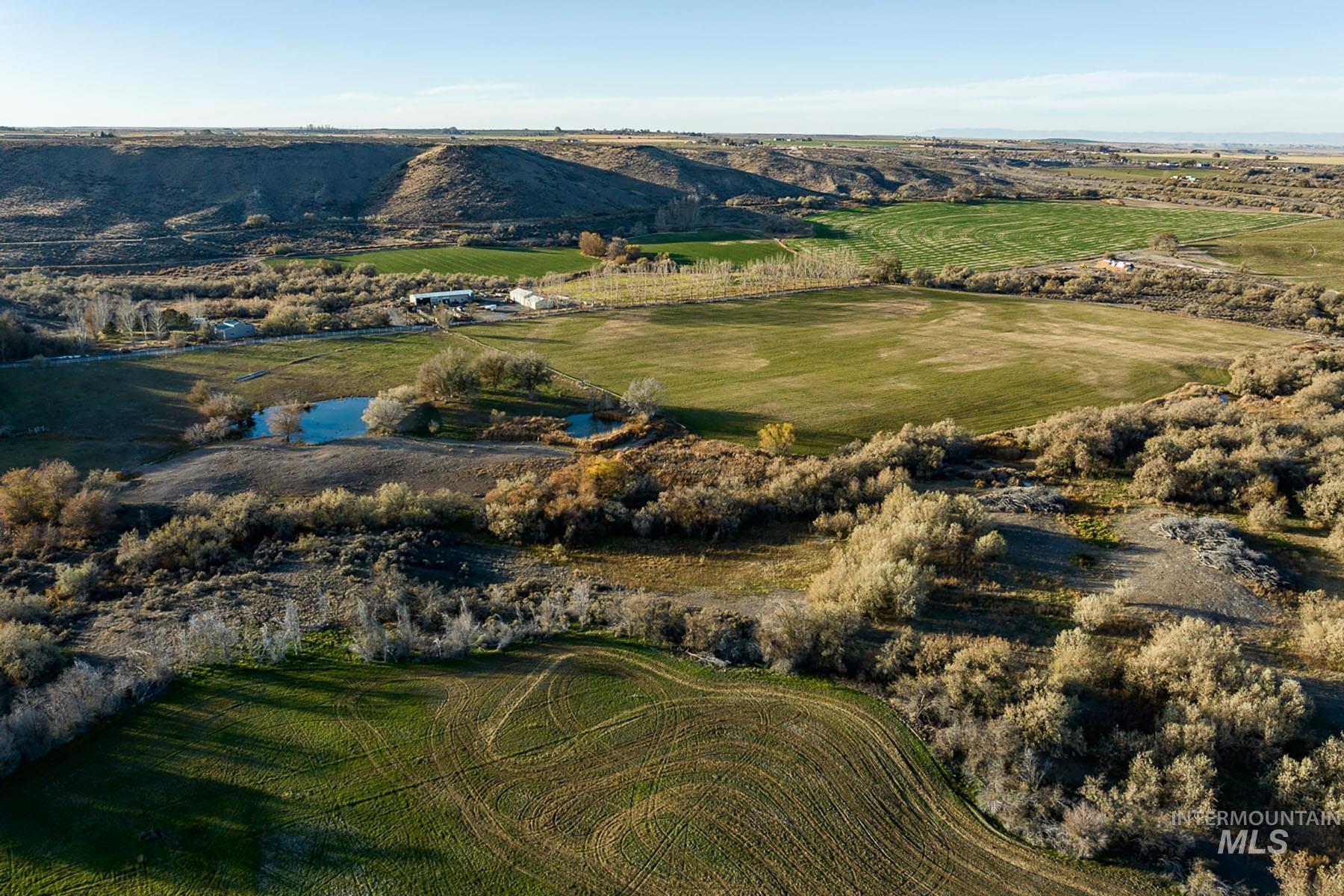 1115 E 4400 N, Buhl, Idaho 83316, 8 Bedrooms, 7.5 Bathrooms, Farm & Ranch For Sale, Price $12,800,000, 98898477