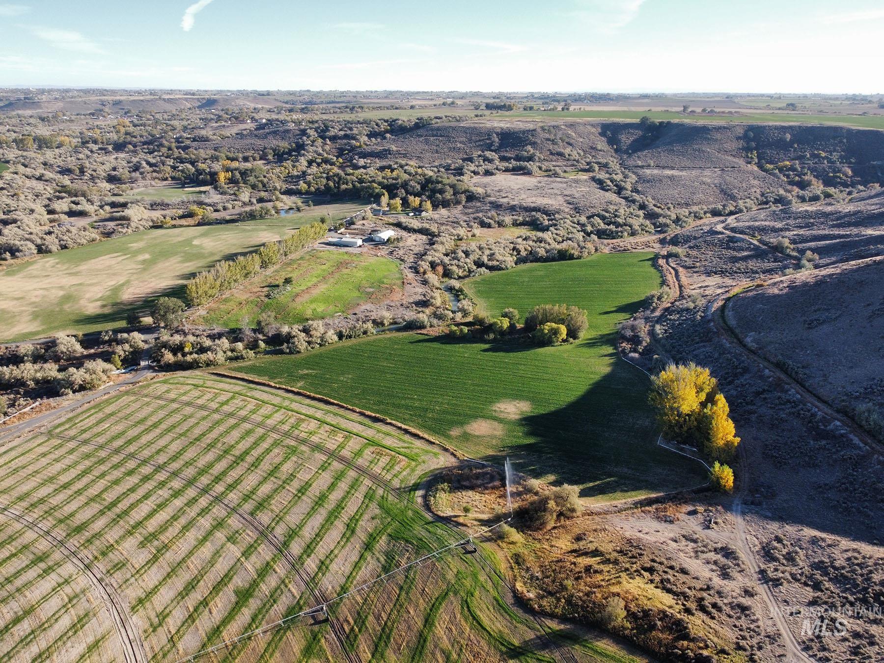 1115 E 4400 N, Buhl, Idaho 83316, 8 Bedrooms, 7.5 Bathrooms, Farm & Ranch For Sale, Price $12,800,000, 98898477