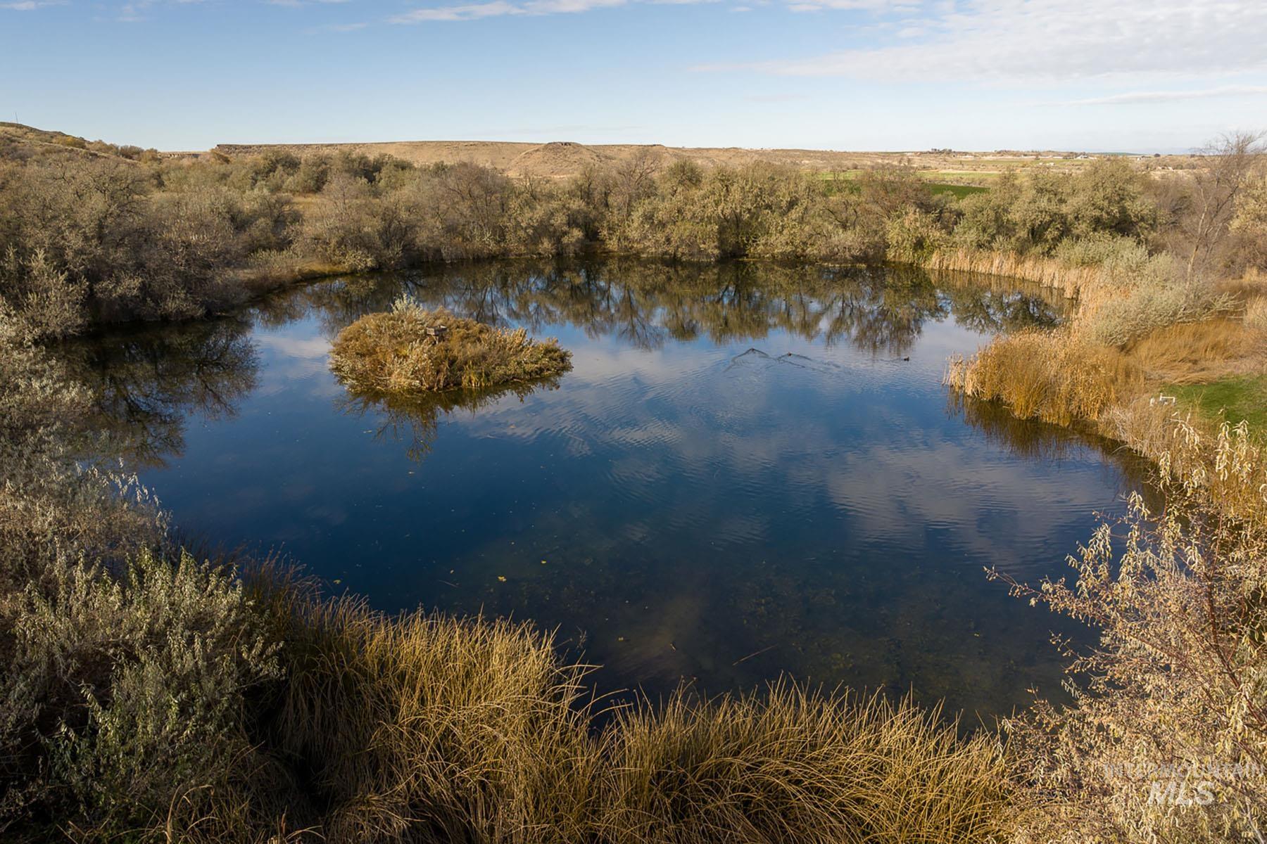 1115 E 4400 N, Buhl, Idaho 83316, 8 Bedrooms, 7.5 Bathrooms, Farm & Ranch For Sale, Price $12,800,000,MLS 98898477