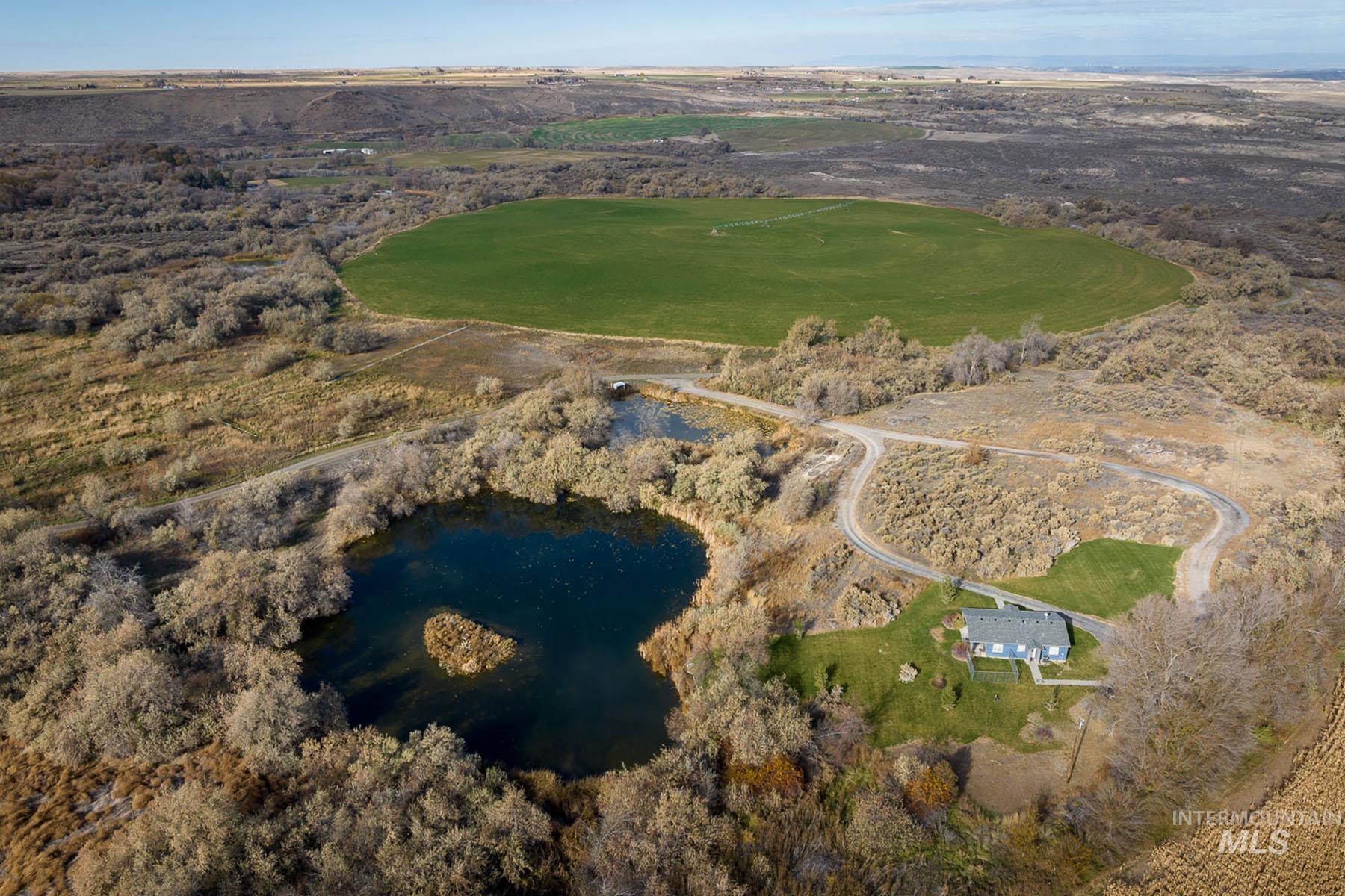 1115 E 4400 N, Buhl, Idaho 83316, 8 Bedrooms, 7.5 Bathrooms, Farm & Ranch For Sale, Price $12,800,000,MLS 98898477