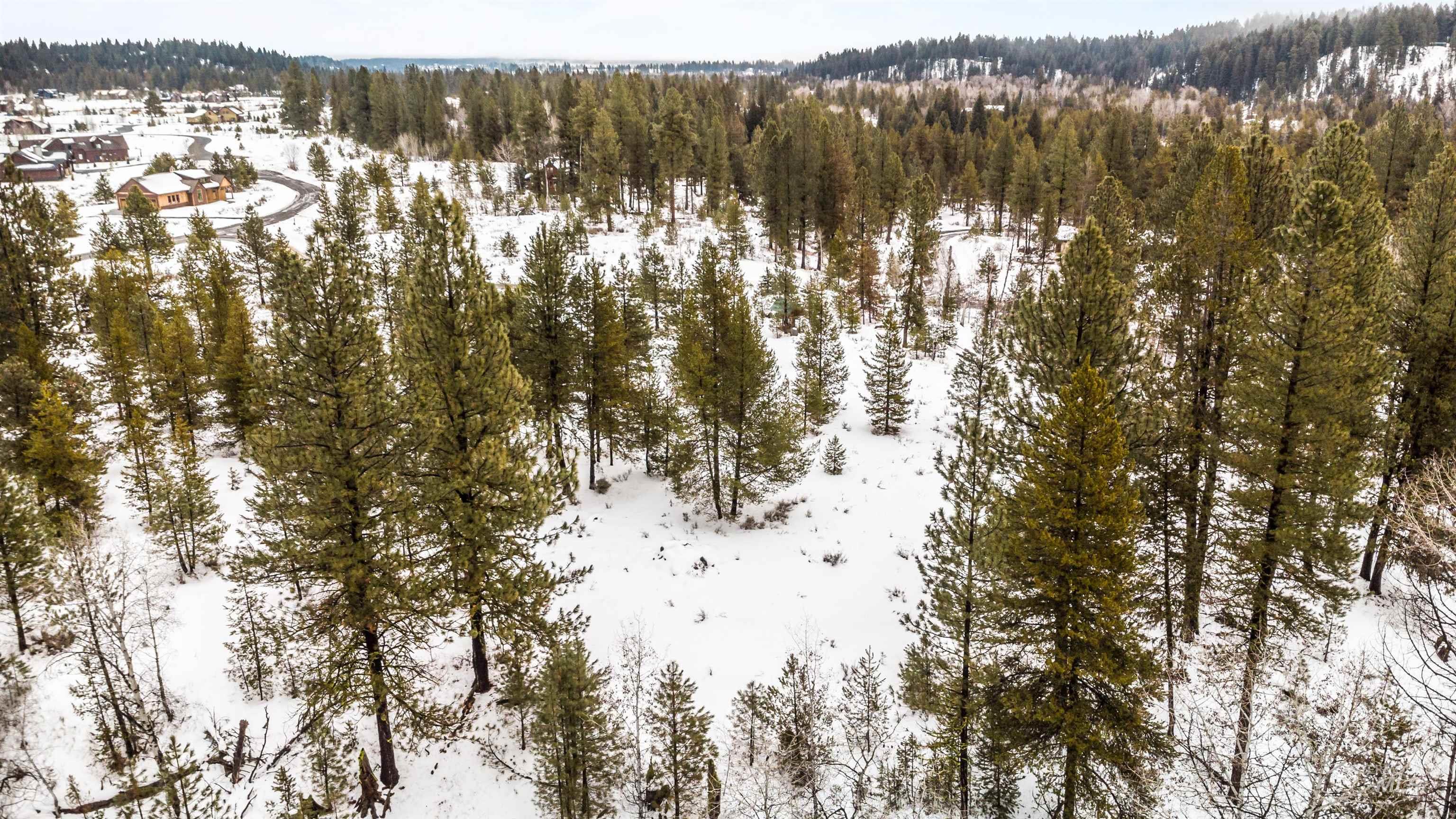 Lot 53 Minidoka Ct, McCall, Idaho 83638, Land For Sale, Price $214,900,MLS 98898946