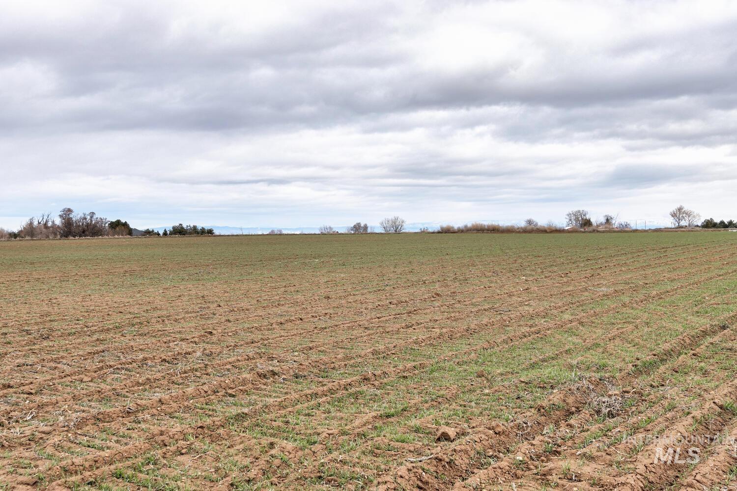 000 Lake Lowell Ave, Nampa, Idaho 83686, Land For Sale, Price $3,900,000, 98900591