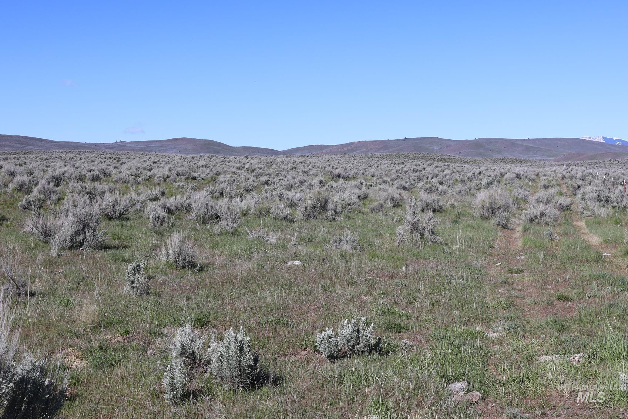 TBD Bonita Road, Ironside, Oregon 97908, Land For Sale, Price $2,800,000, 98900738