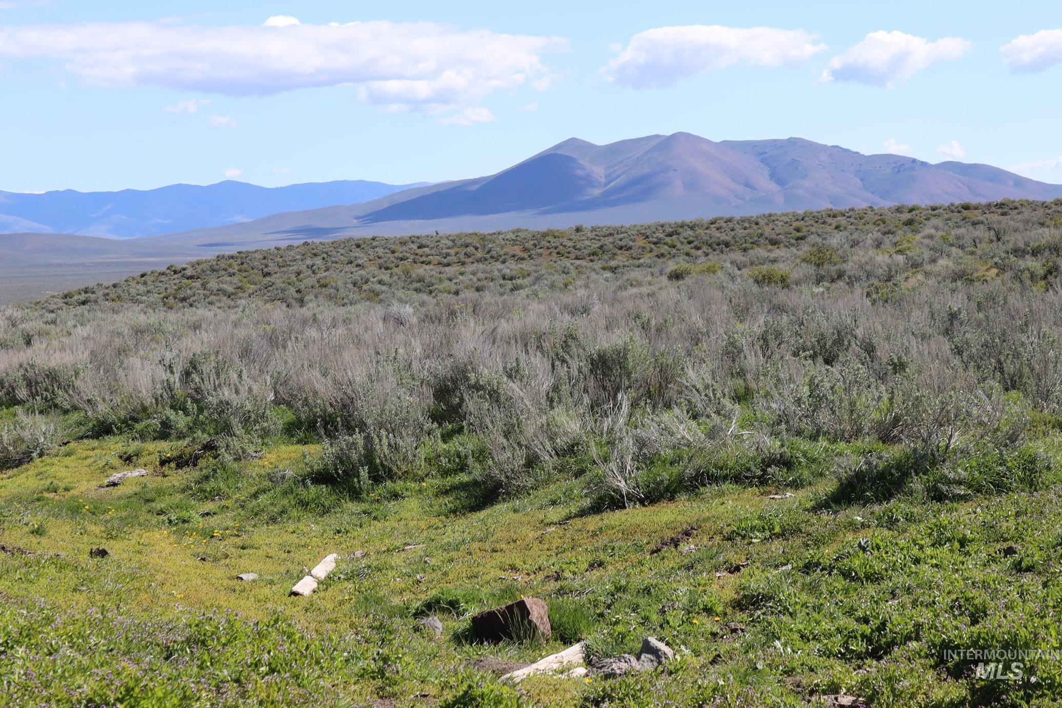 TBD Bonita Road, Ironside, Oregon 97908, Land For Sale, Price $2,800,000, 98900738