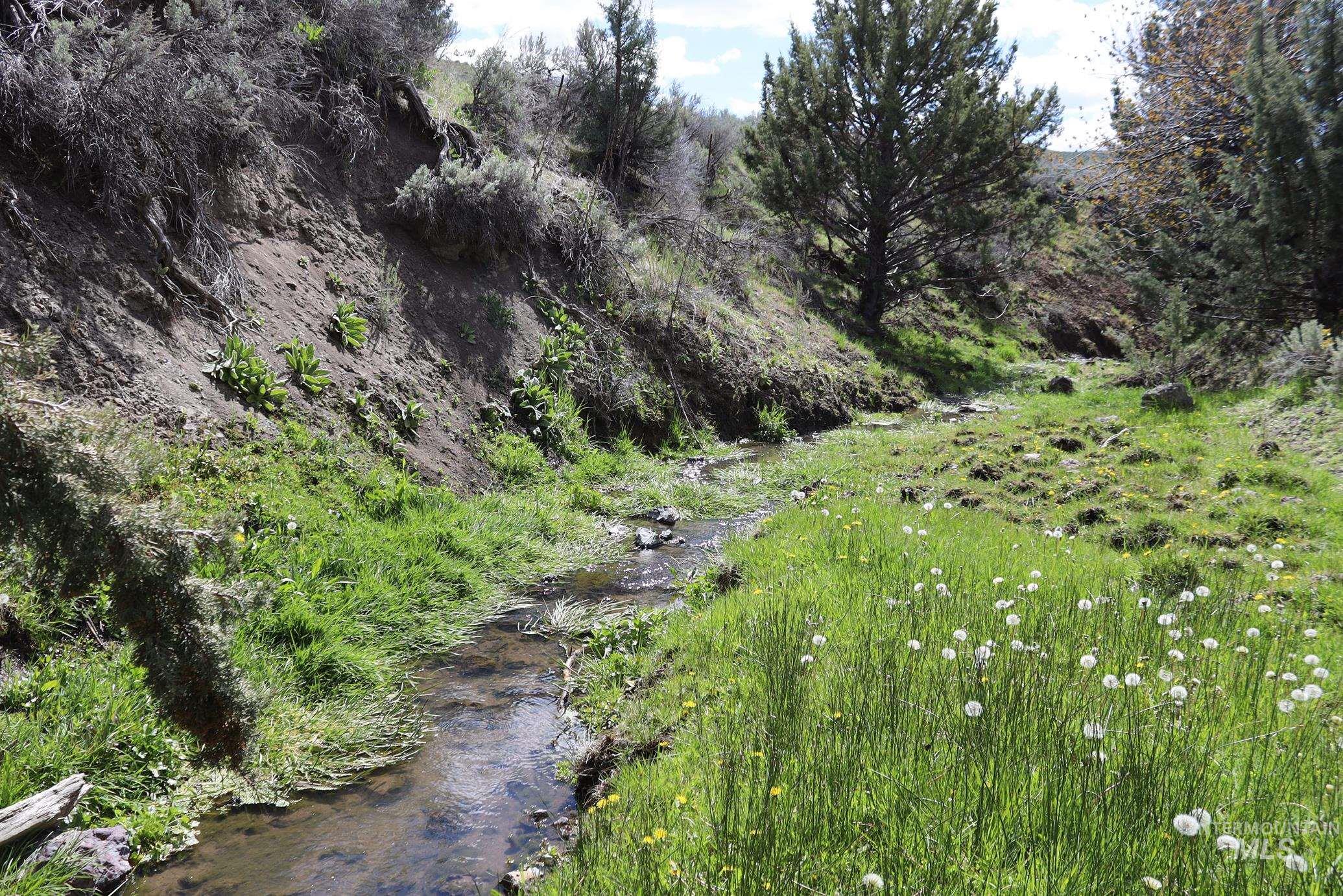 TBD Bonita Road, Ironside, Oregon 97908, Land For Sale, Price $2,800,000, 98900738