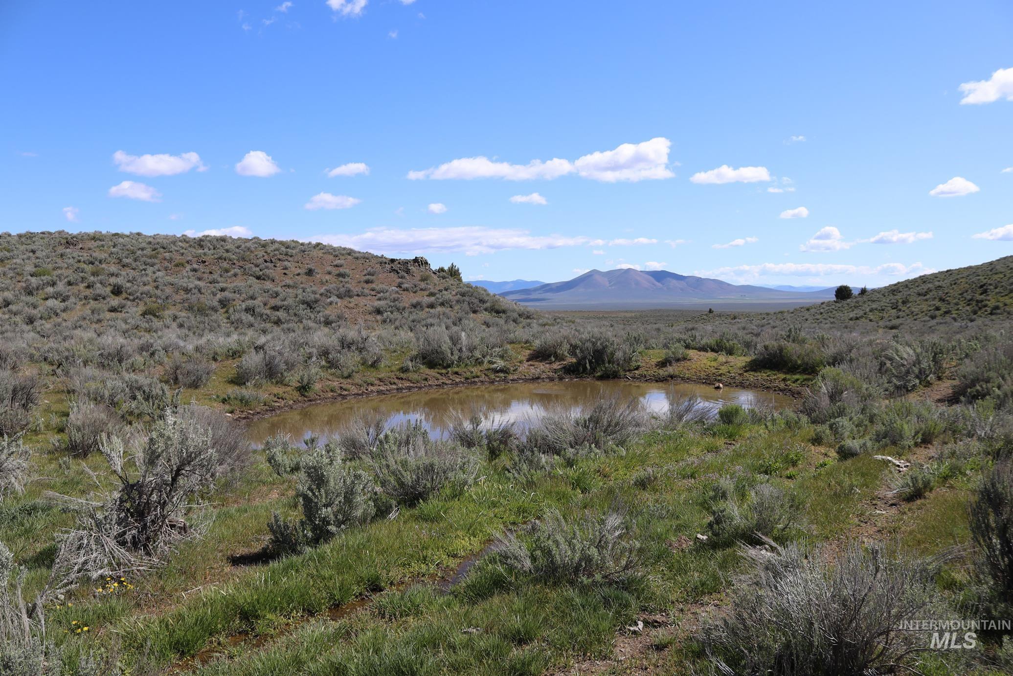 TBD Bonita Road, Ironside, Oregon 97908, Land For Sale, Price $2,800,000, 98900738