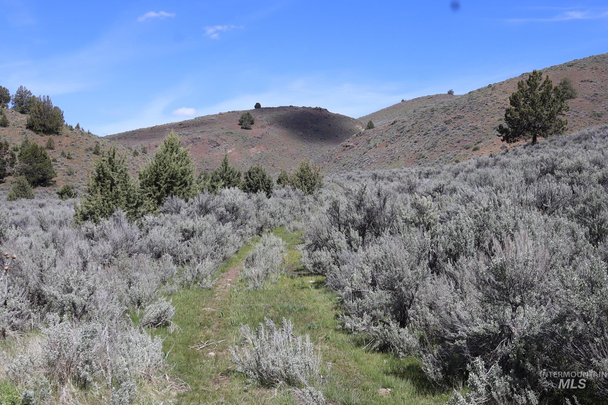 TBD Bonita Road, Ironside, Oregon 97908, Land For Sale, Price $2,800,000, 98900738