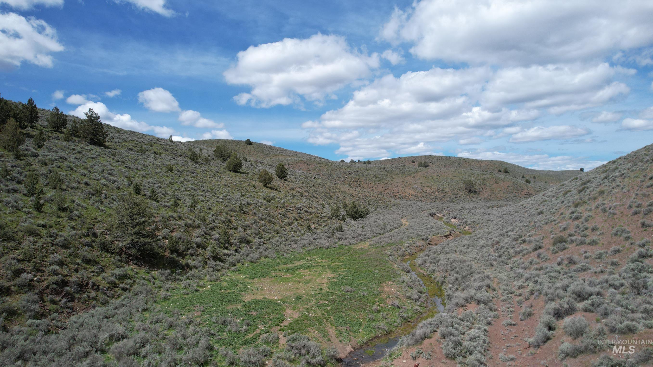TBD Bonita Road, Ironside, Oregon 97908, Land For Sale, Price $2,800,000, 98900738