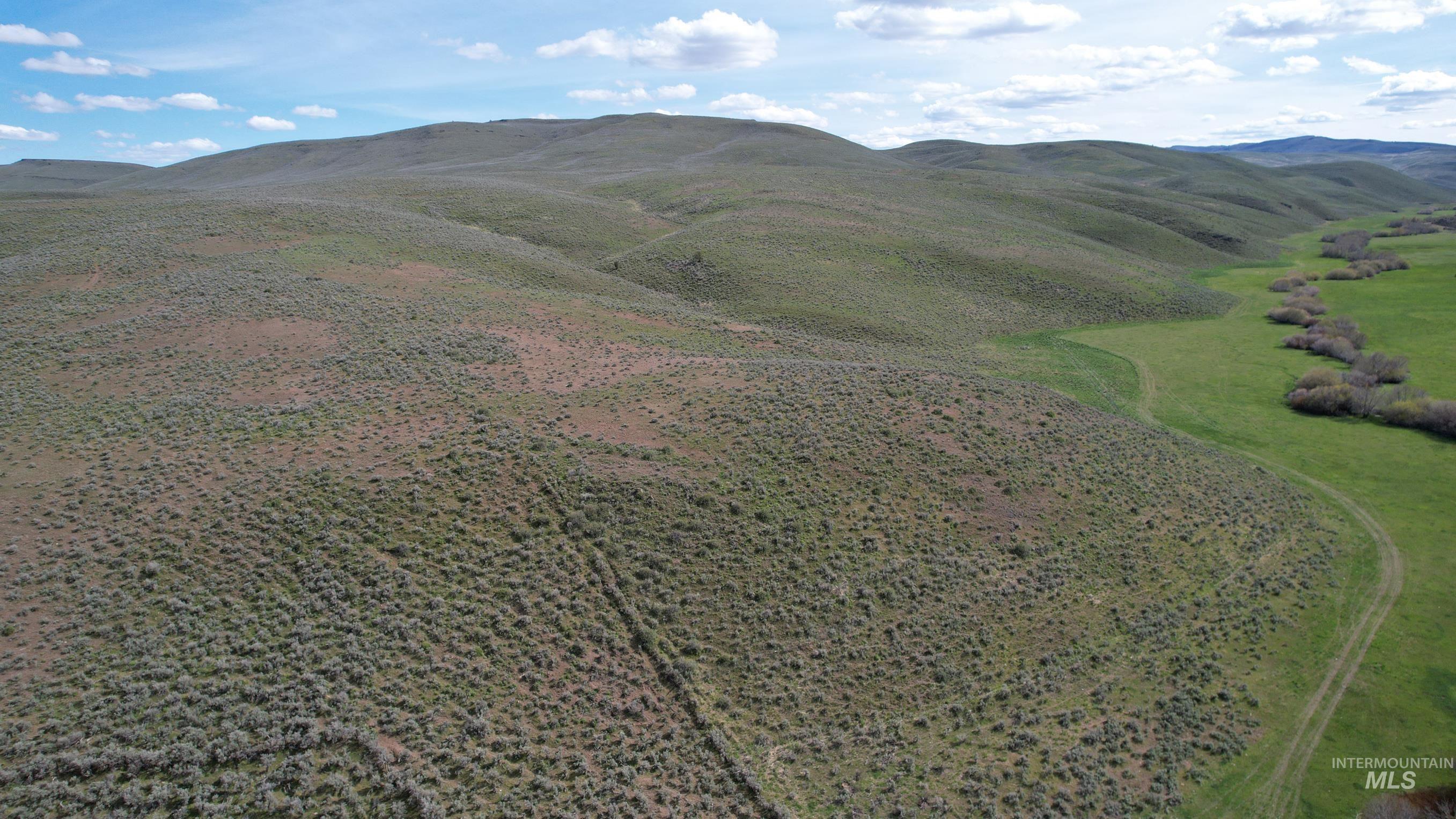 TBD Rose Creek Road East, Ironside, Oregon 97908, Land For Sale, Price $450,000, 98900741