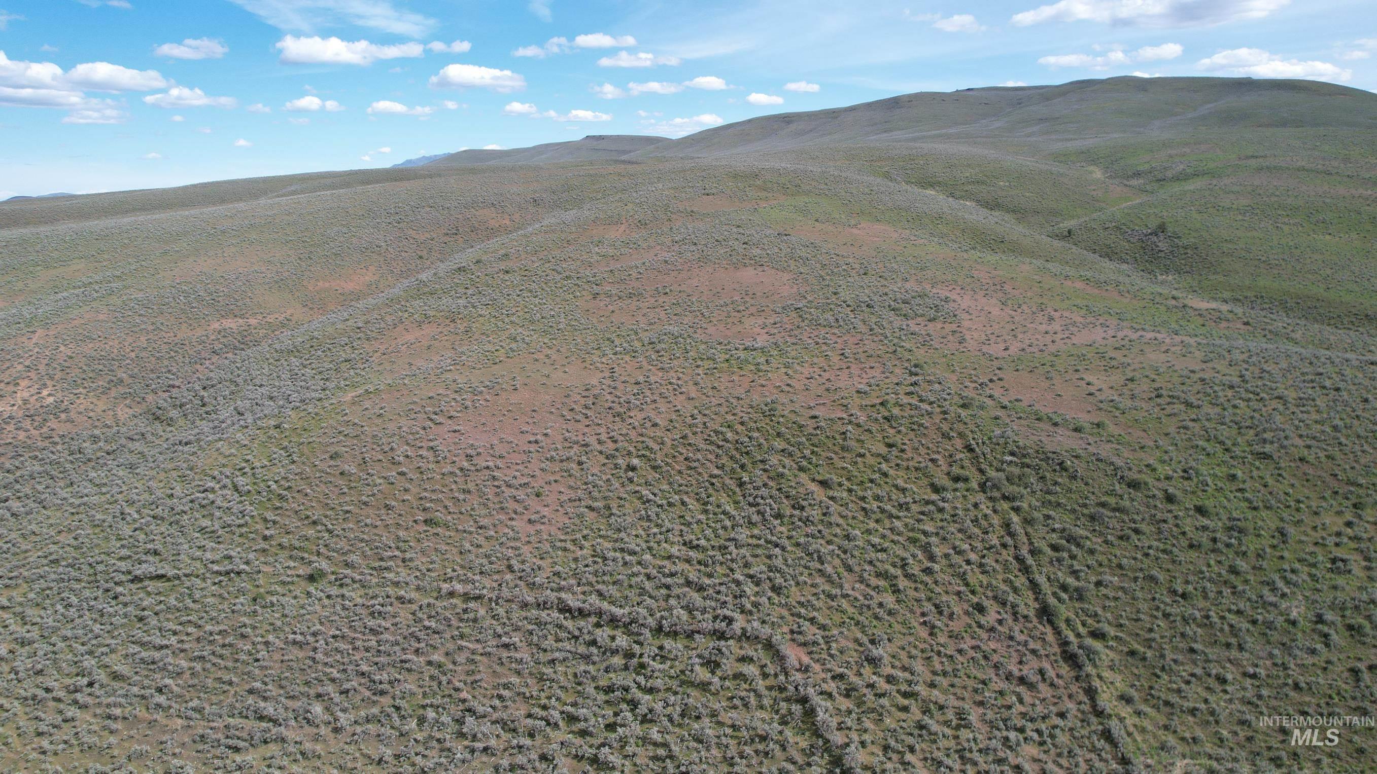 TBD Rose Creek Road East, Ironside, Oregon 97908, Land For Sale, Price $450,000, 98900741