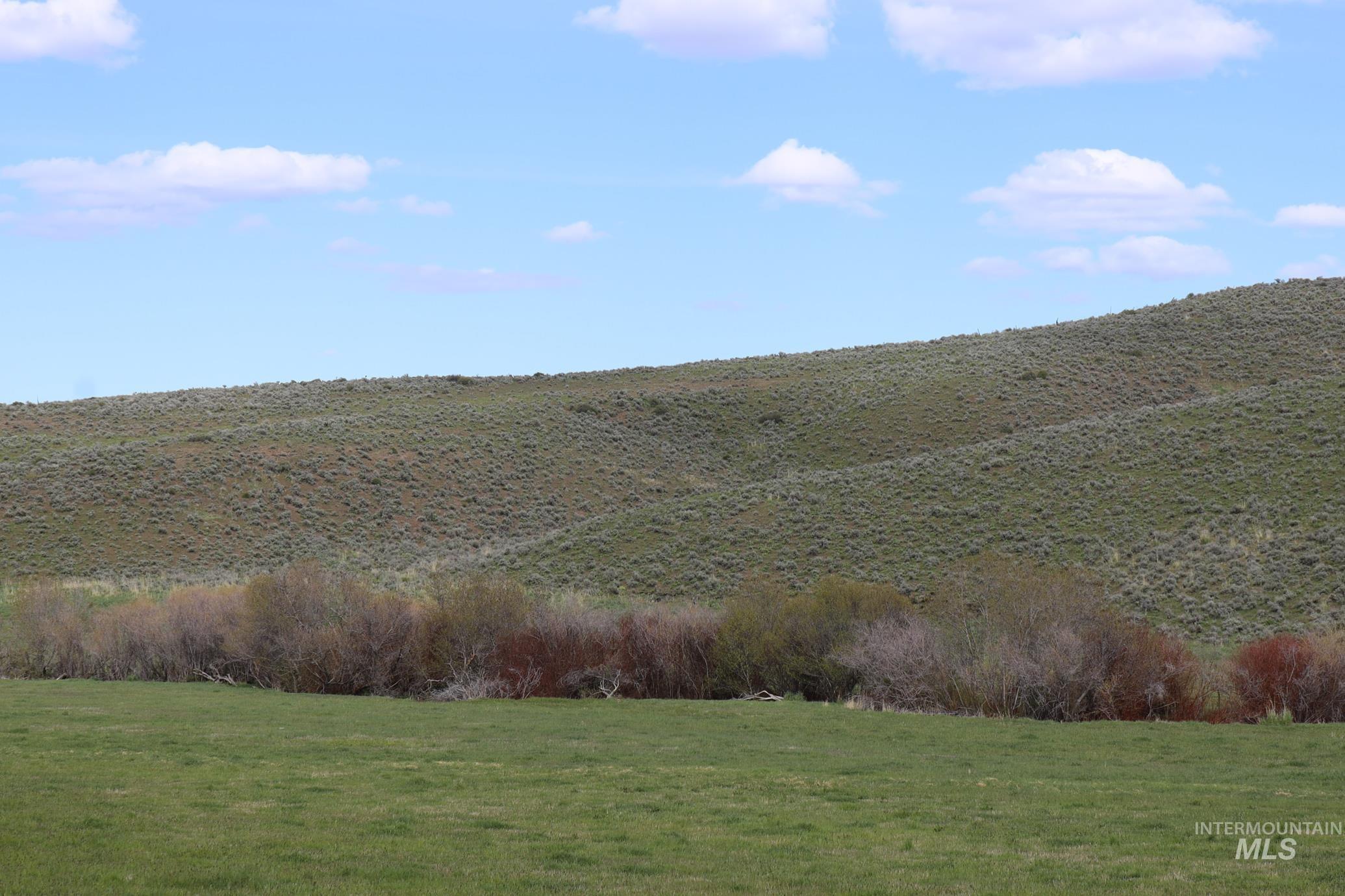 TBD Rose Creek Road East, Ironside, Oregon 97908, Land For Sale, Price $450,000, 98900741