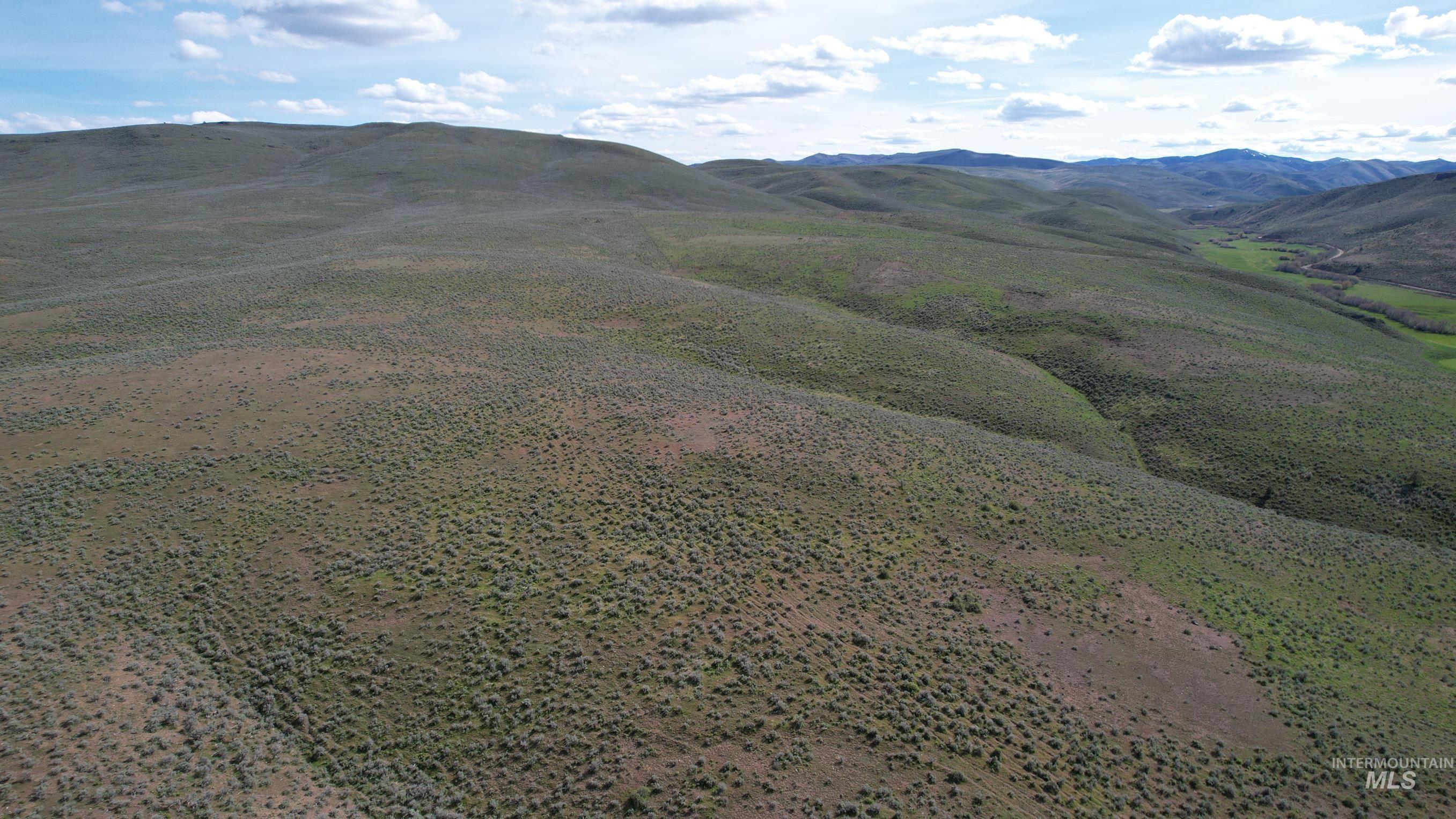 TBD Rose Creek Road East, Ironside, Oregon 97908, Land For Sale, Price $450,000, 98900741