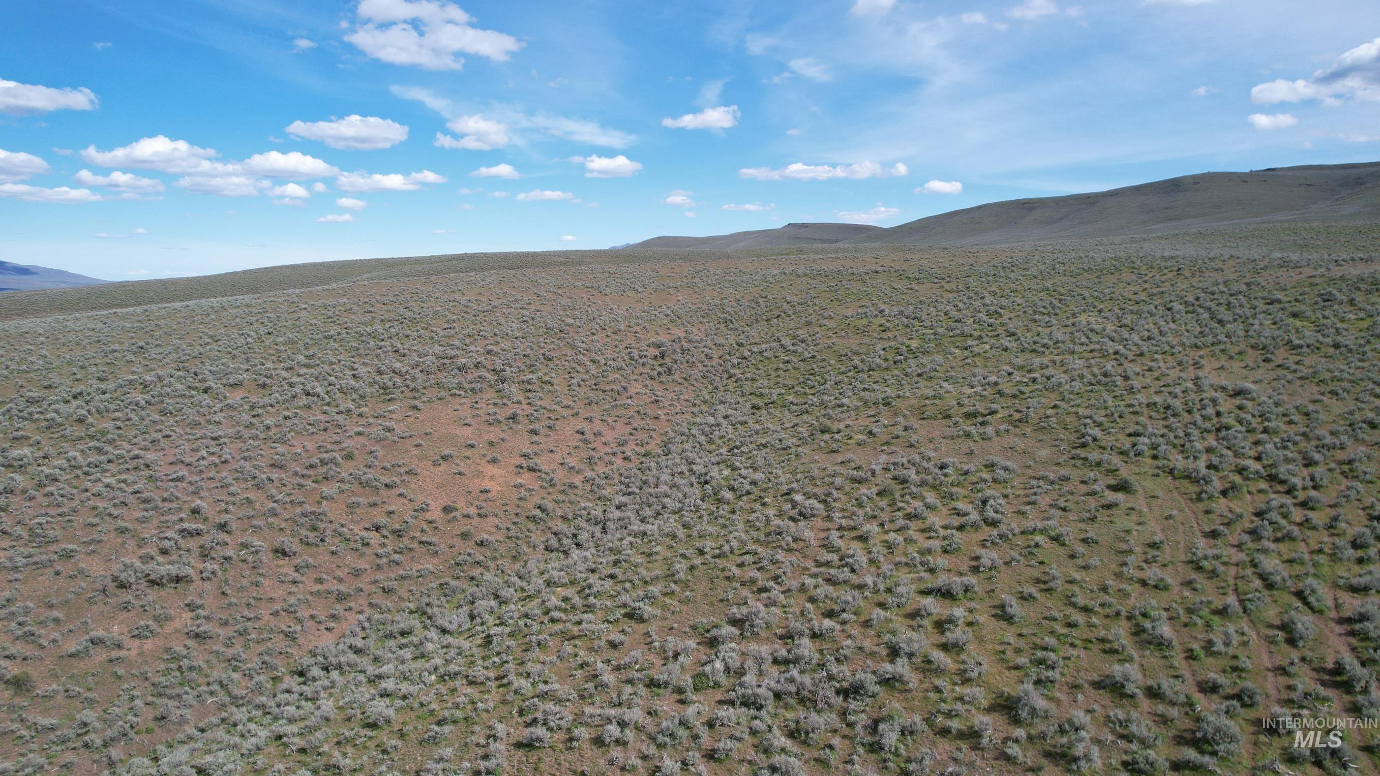 TBD Rose Creek Road East, Ironside, Oregon 97908, Land For Sale, Price $450,000, 98900741