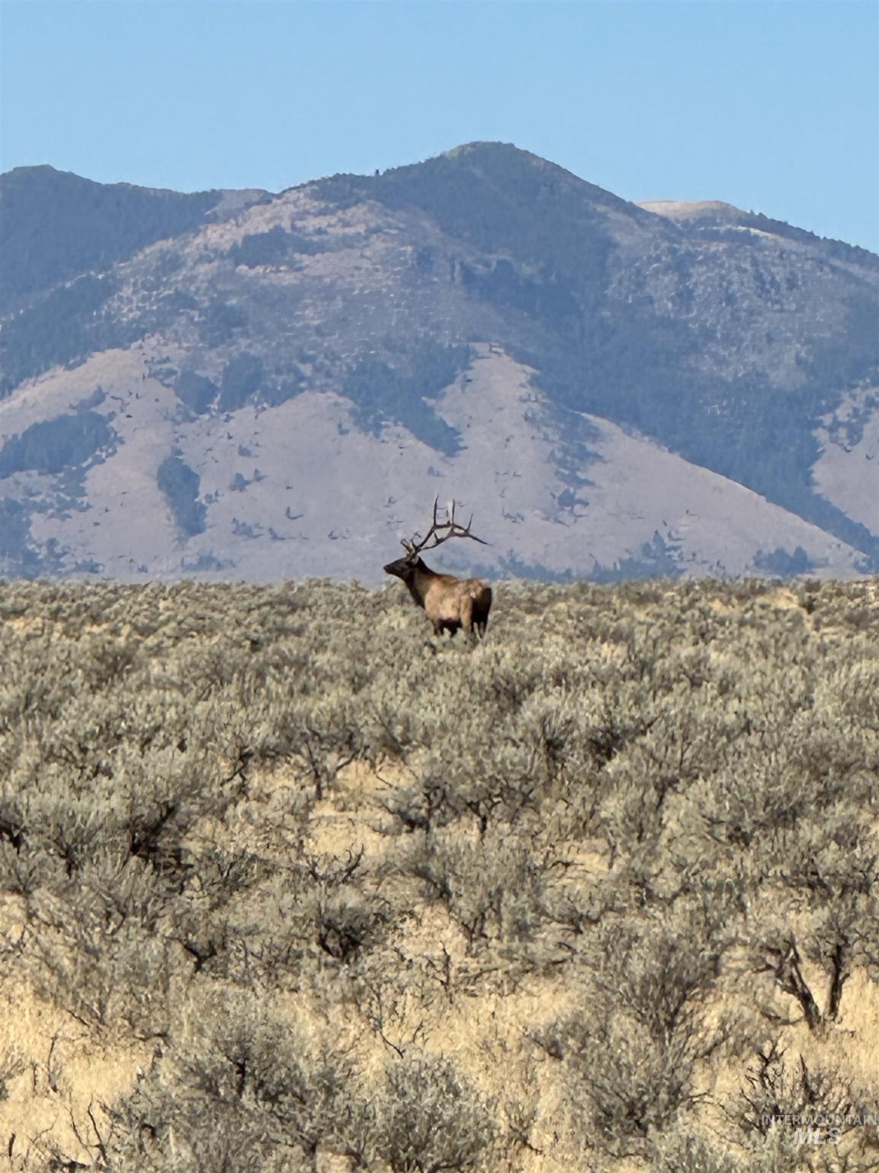 TBD Willow Creek Road, Ironside, Oregon 97908, Farm & Ranch For Sale, Price $2,800,000, 98900744