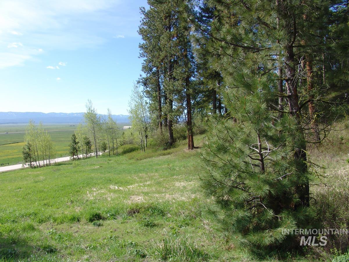 21 Rehn Loop, Cascade, Idaho 83611-9999, Land For Sale, Price $335,000,MLS 98900846
