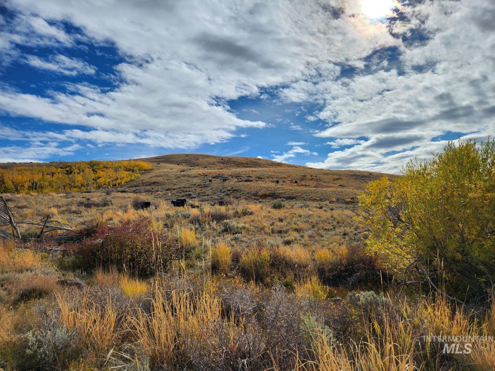 2838 Gold Creek Road, Outside City Limits, Nevada 89826, Farm & Ranch For Sale, Price $1,100,000,MLS 98901250