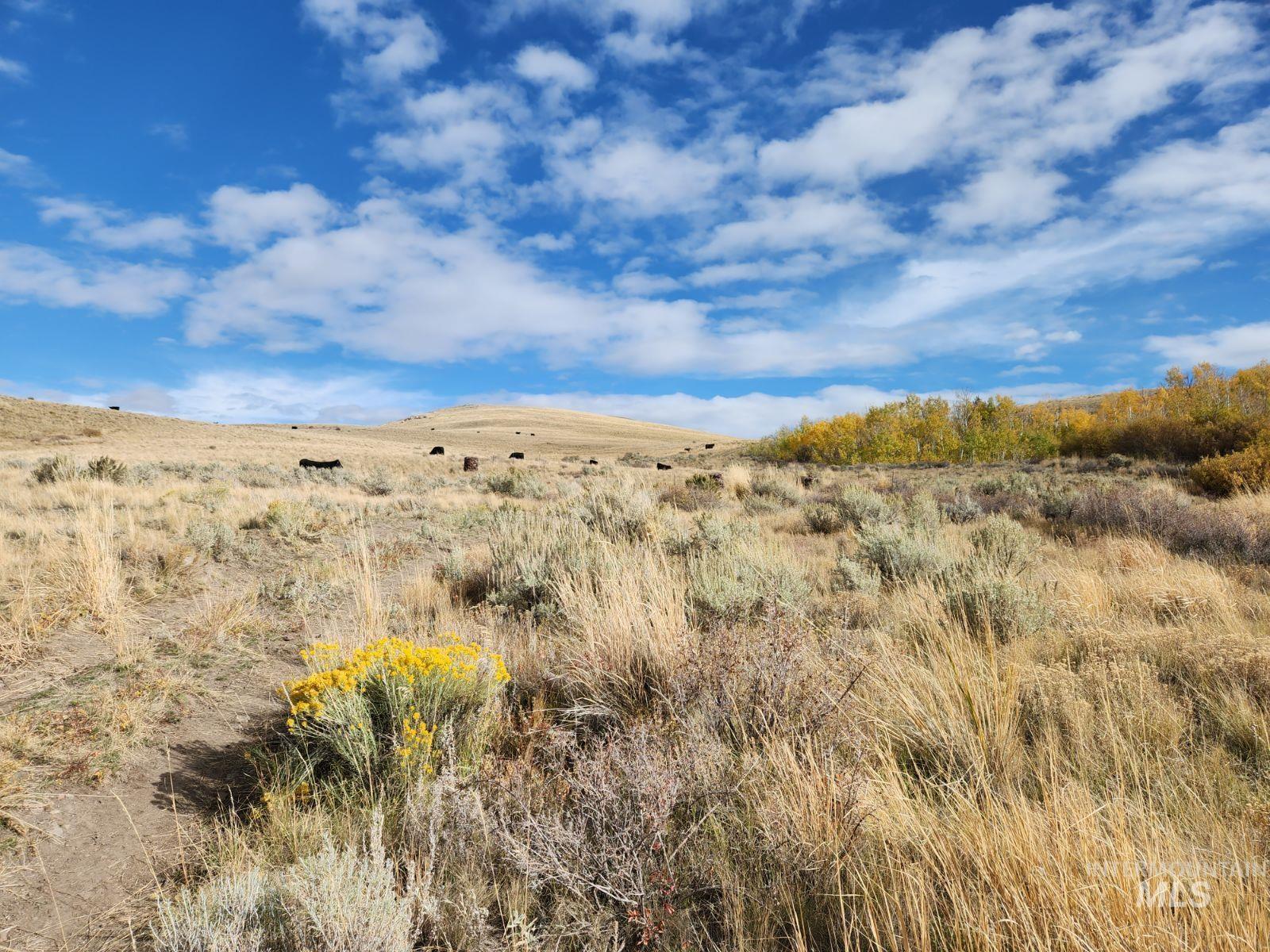 2838 Gold Creek Road, Outside City Limits, Nevada 89826, Farm & Ranch For Sale, Price $1,100,000,MLS 98901250