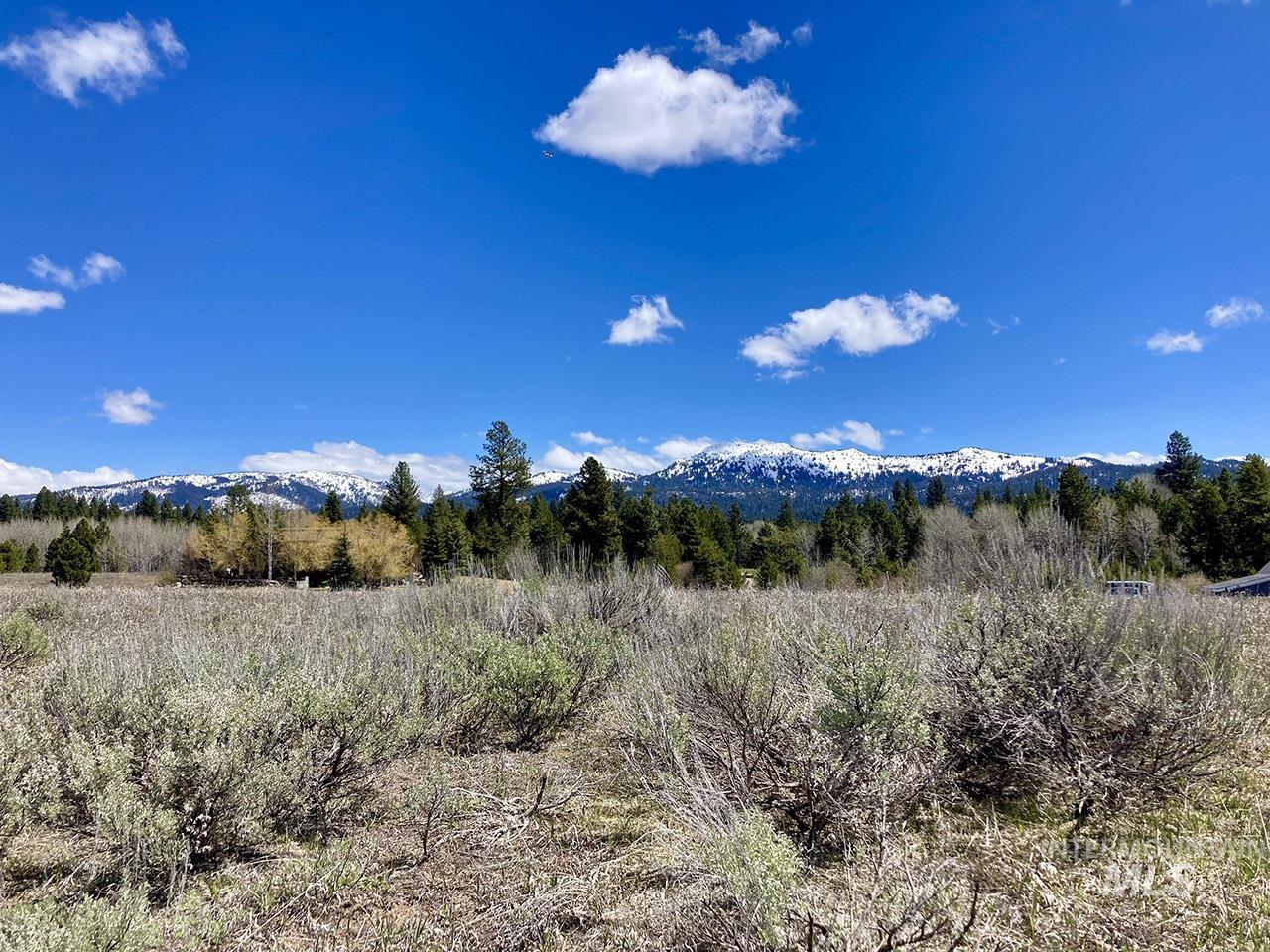Lot 5 Elkhorn Ranch Road, McCall, Idaho 83638, Land For Sale, Price $359,000,MLS 98901398