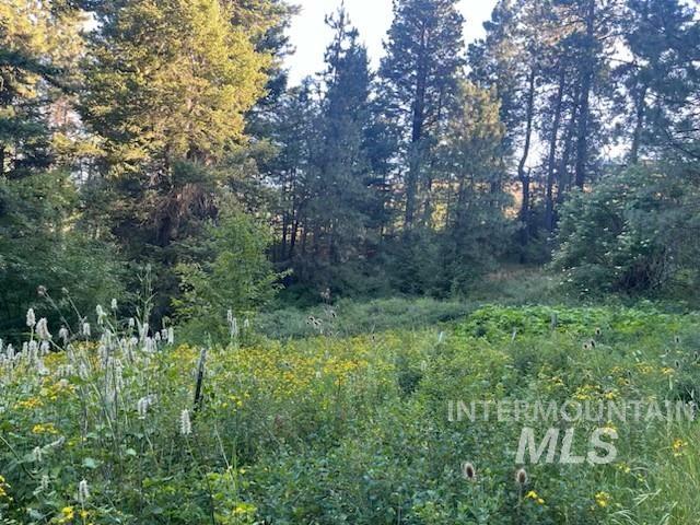 TBD Bobcat lane, Lewiston, Idaho 83501, Land For Sale, Price $93,900, 98902120